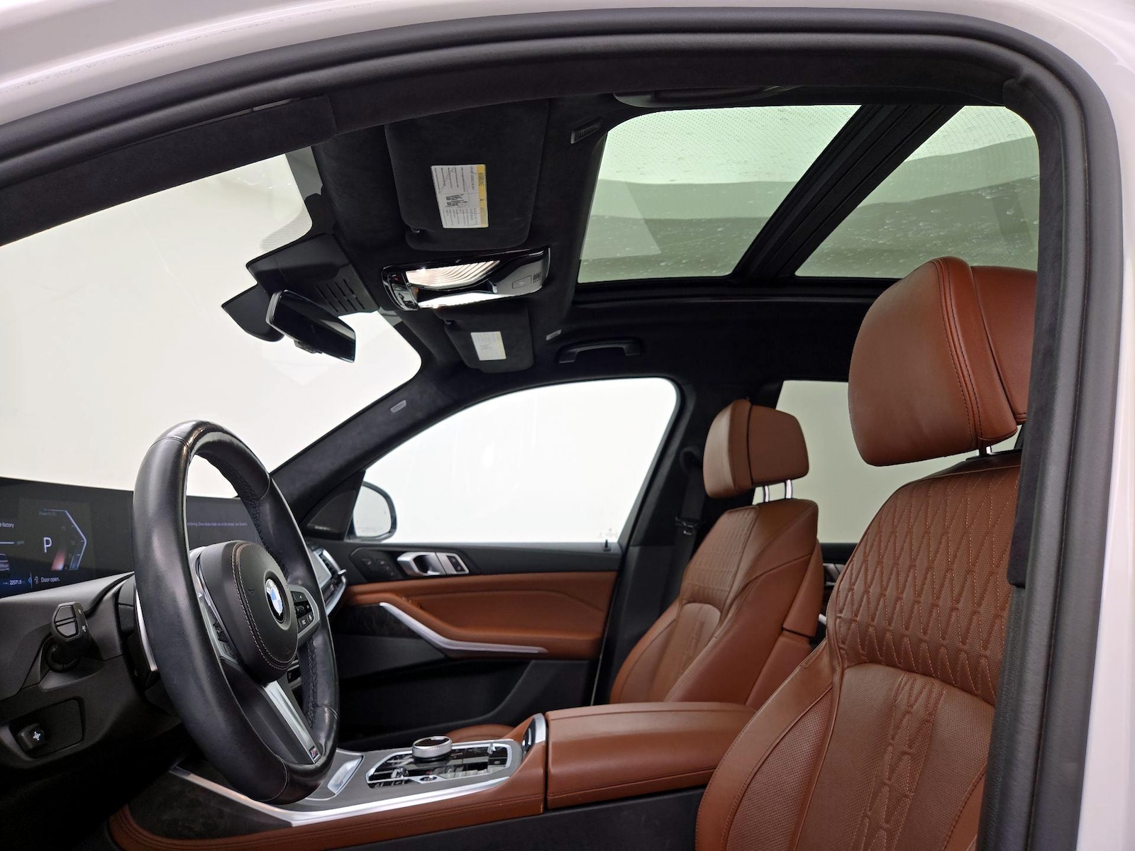 Panoramic Sunroof & Skylight(s)