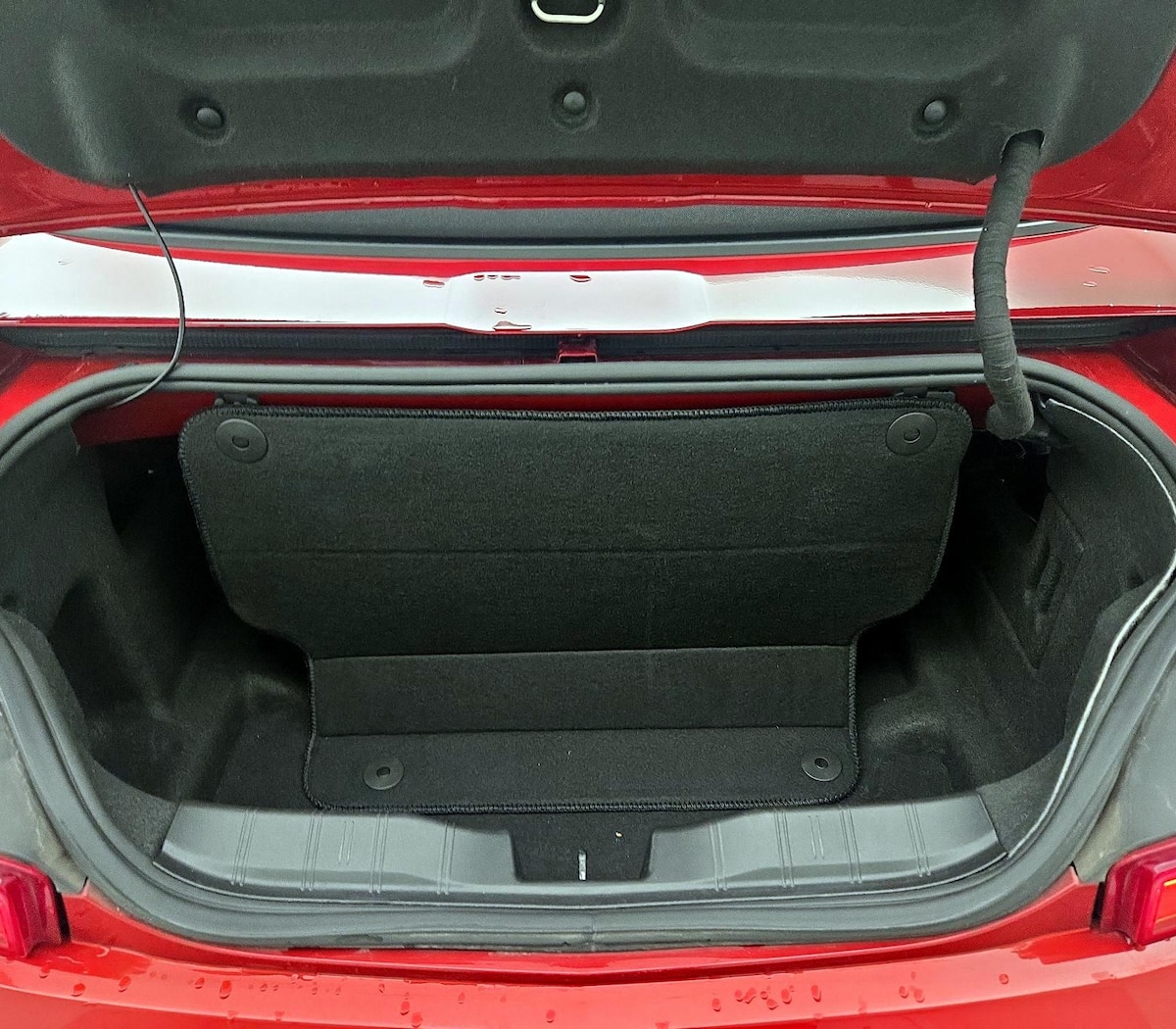 Trunk/Cargo (Seats Up)