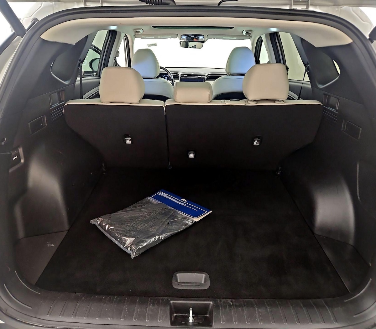 Trunk/Cargo (Seats Up)
