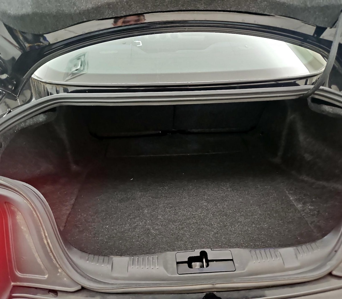 Trunk/Cargo (Seats Up)