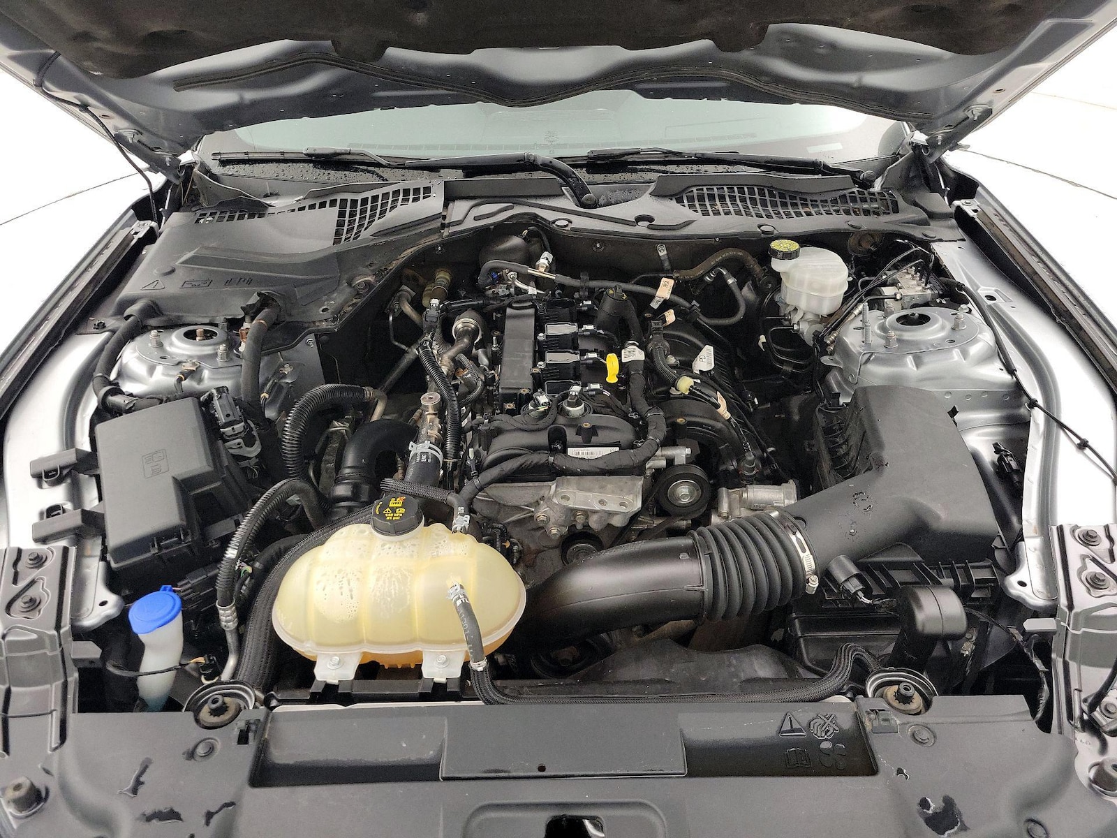 2021 Ford Mustang EcoBoost - Photo 23