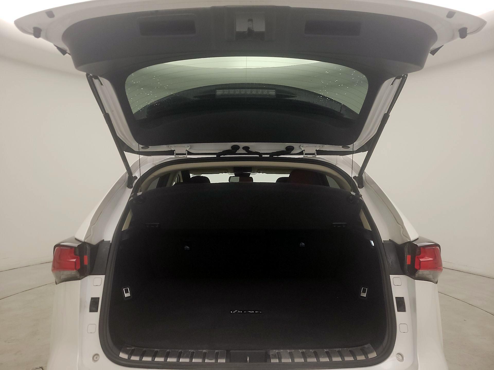 Thumbnail: 2019 Lexus NX - 18