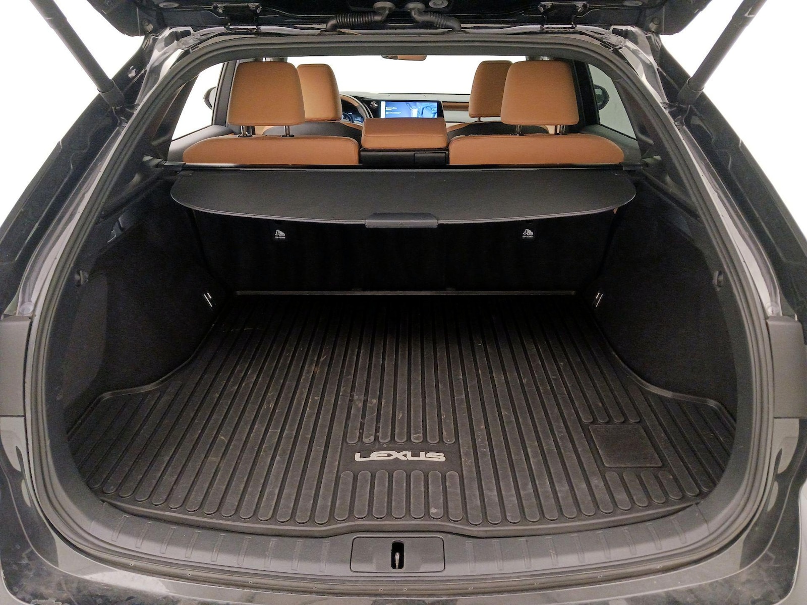 2025 Lexus RX Hybrid 350h - Photo 22