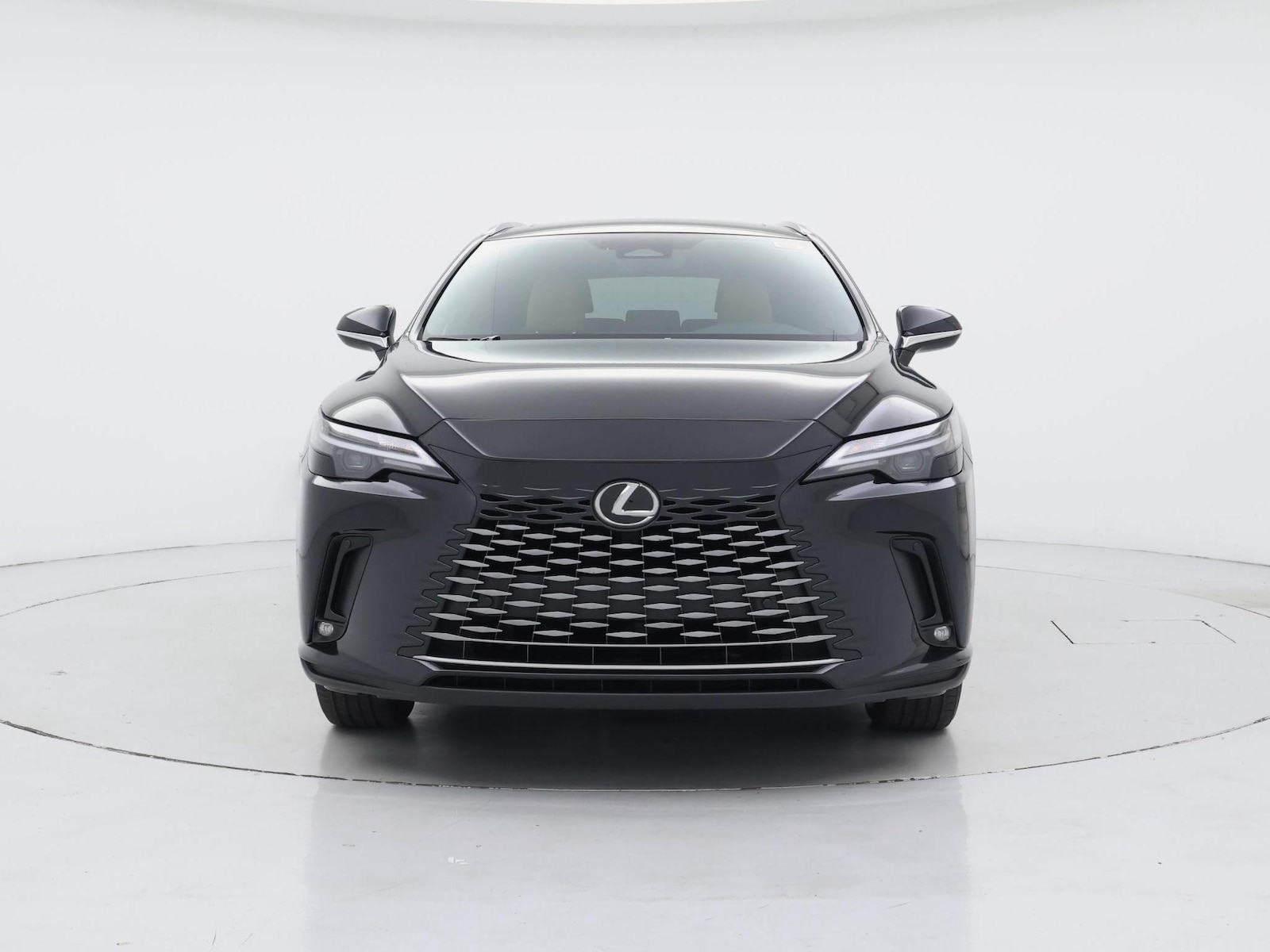 2025 Lexus RX Hybrid 350h - Photo 6