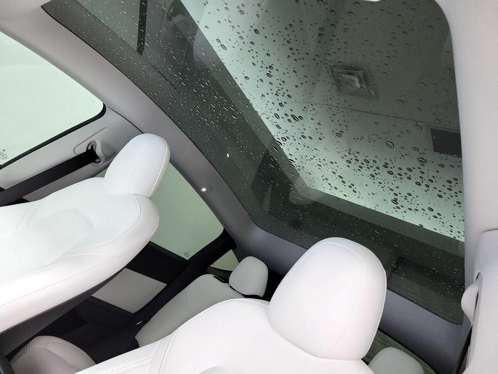 Thumbnail: 2021 Tesla Model Y - 19