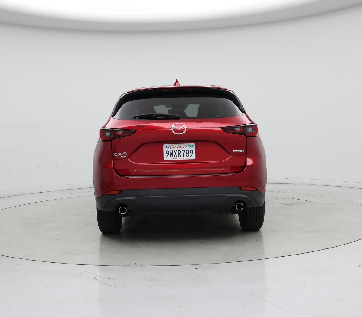 Rear