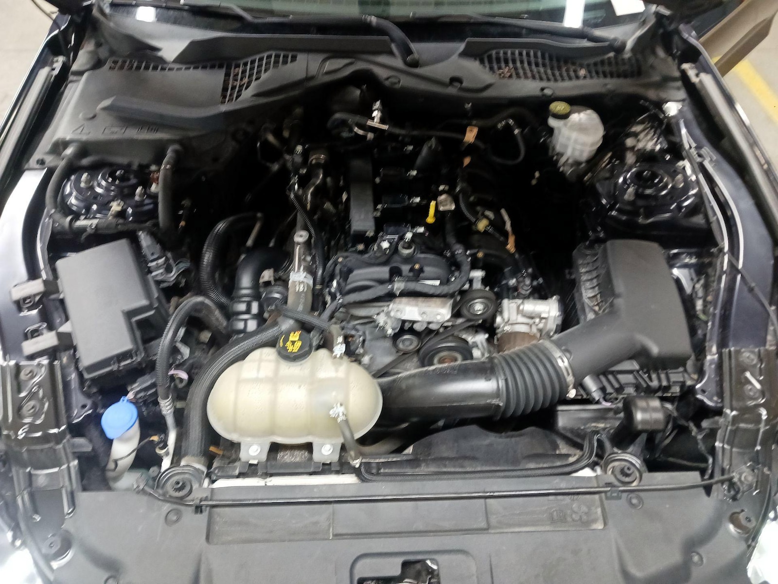 2021 Ford Mustang EcoBoost - Photo 18