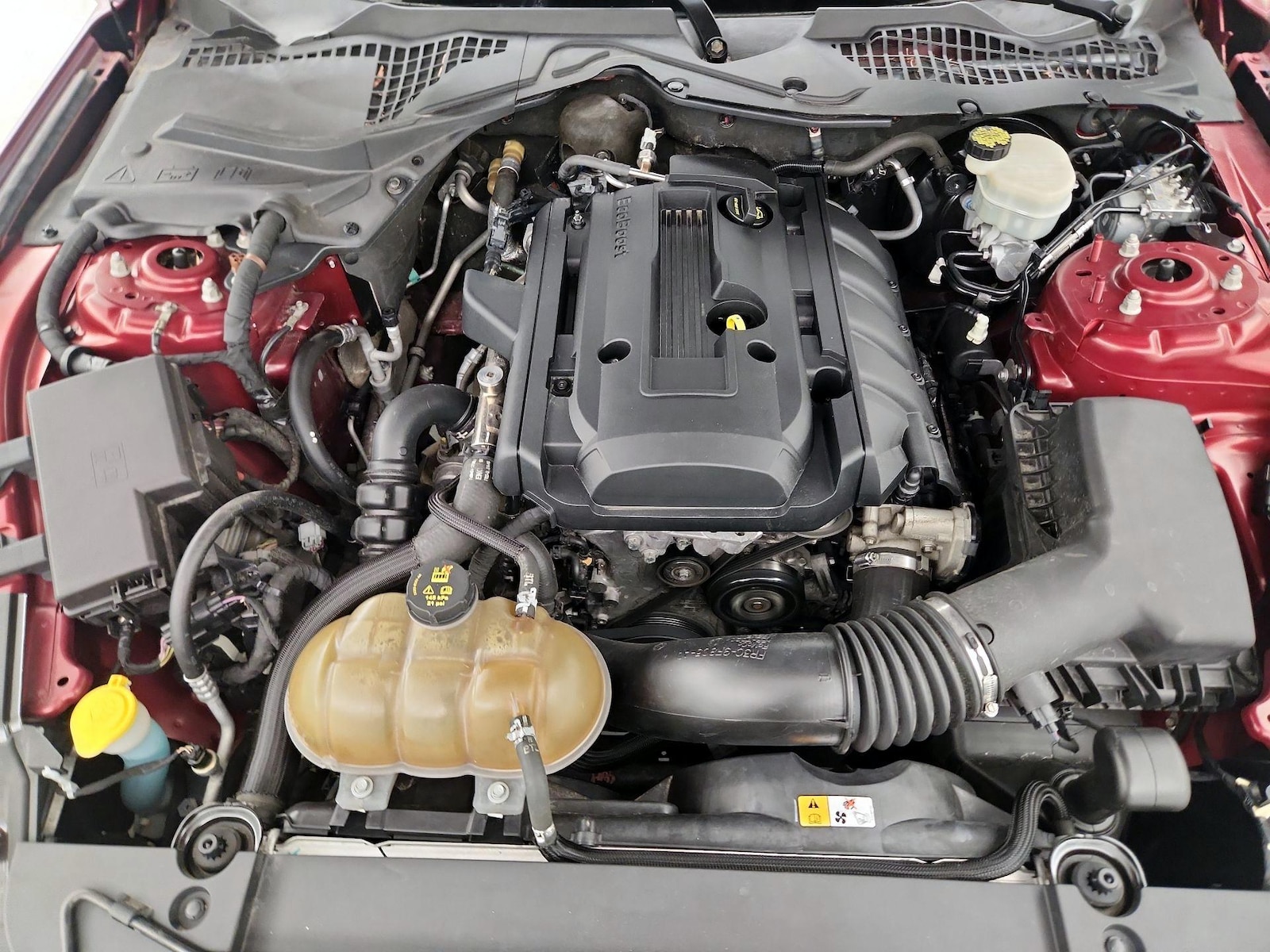 2015 Ford Mustang EcoBoost Premium - Photo 22