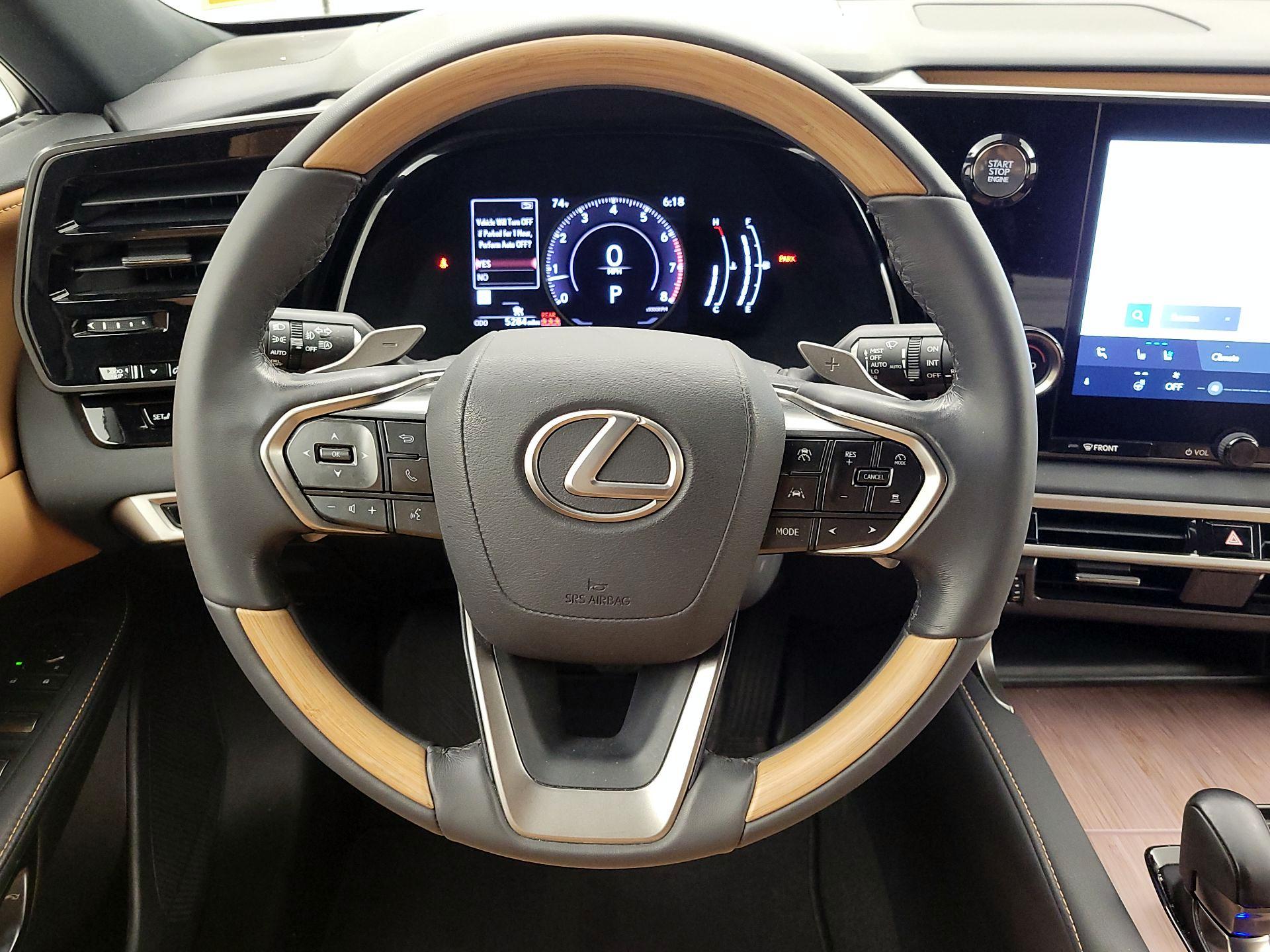 Thumbnail: 2024 Lexus RX - 10