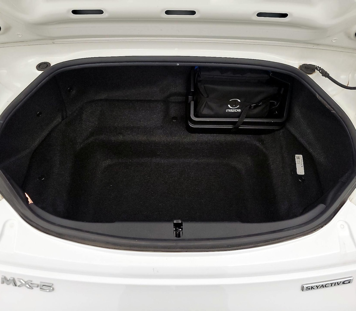 Trunk/Cargo (Seats Up)