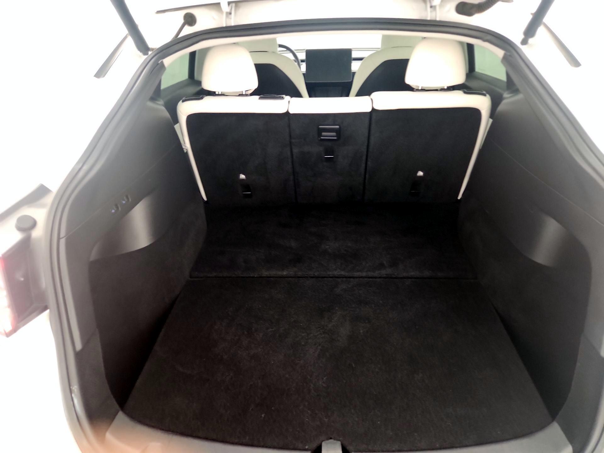 Thumbnail: 2021 Tesla Model Y - 20