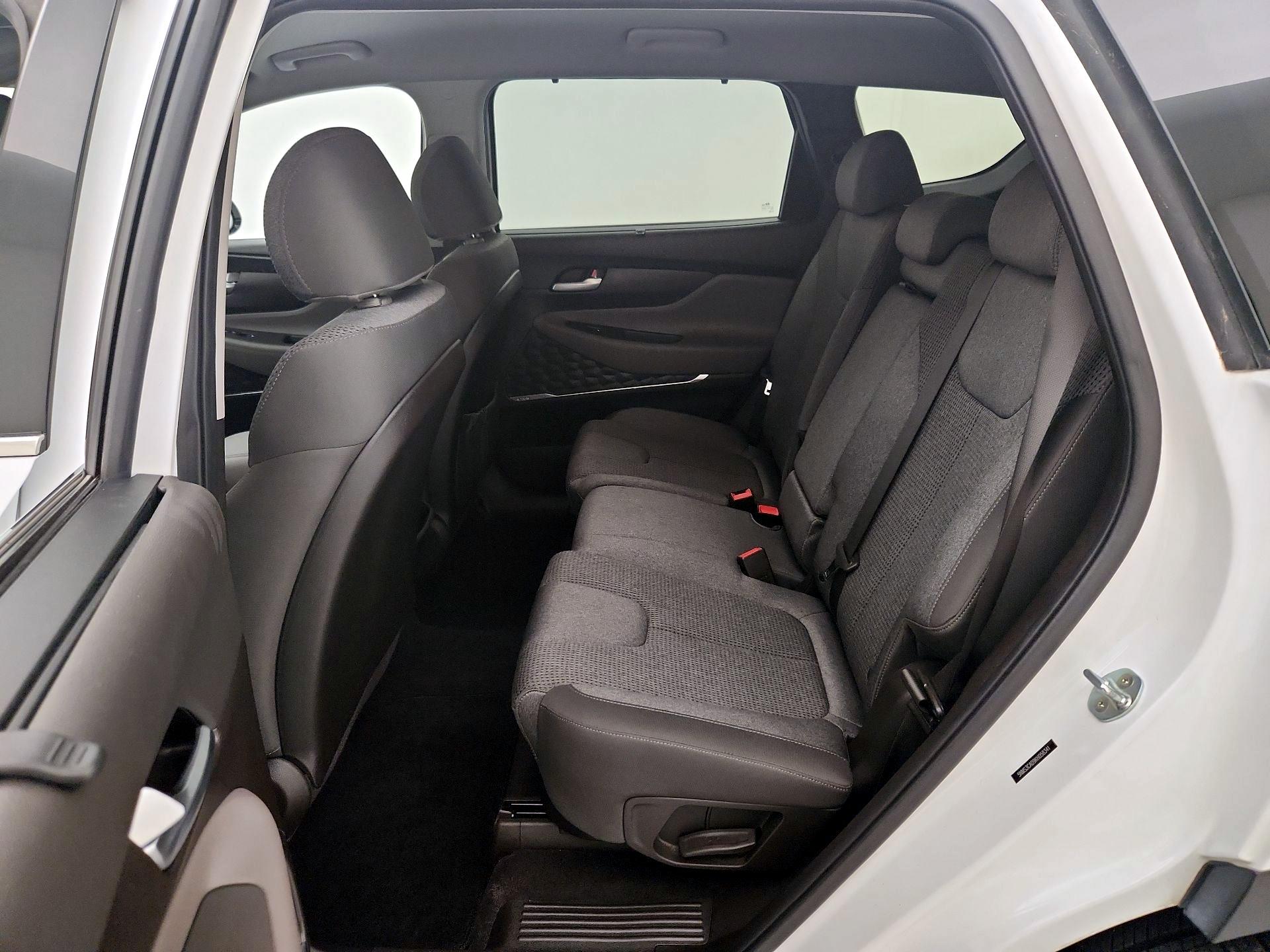Thumbnail: 2019 Hyundai Santa Fe - 19
