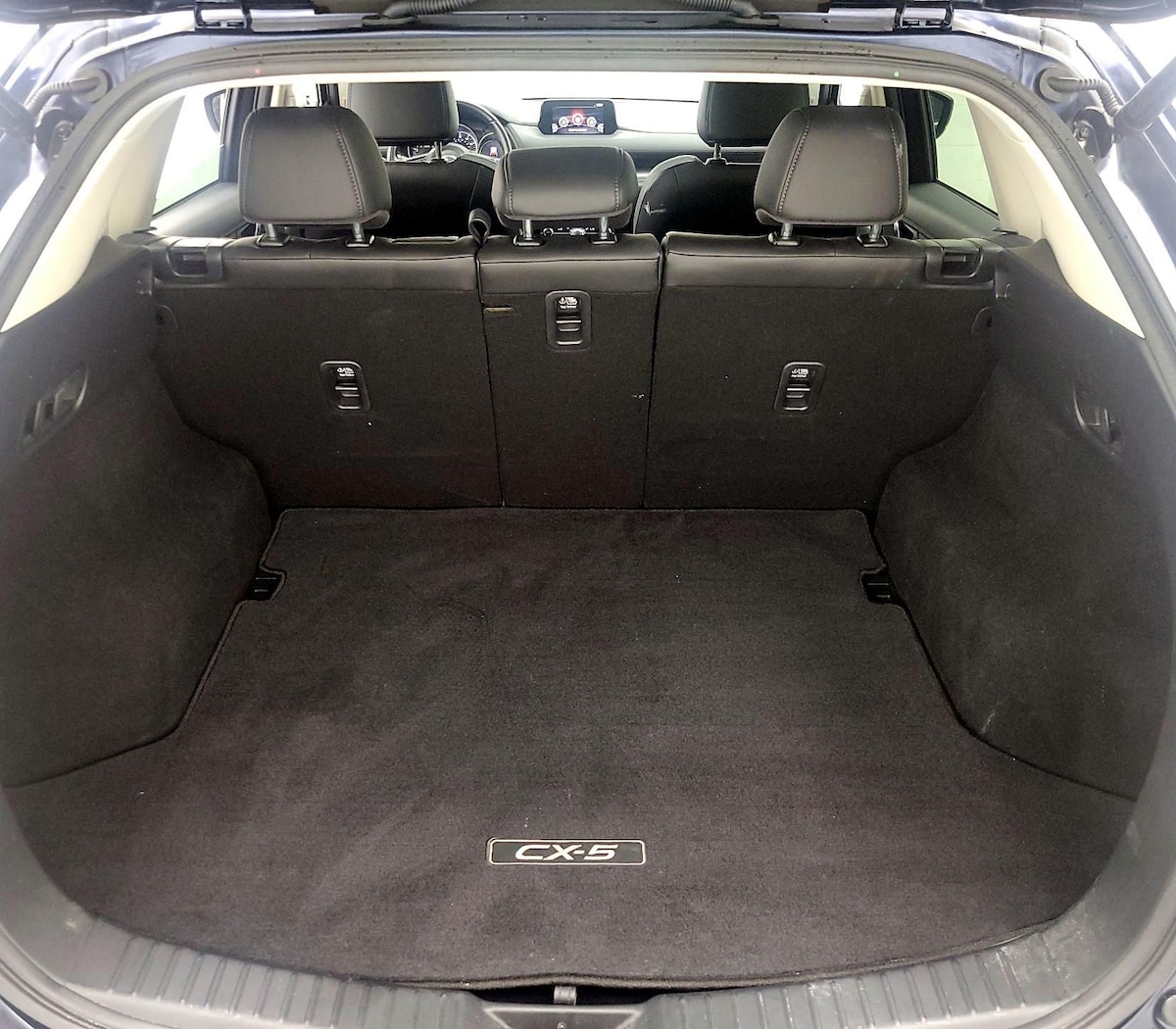 Trunk/Cargo (Seats Up)
