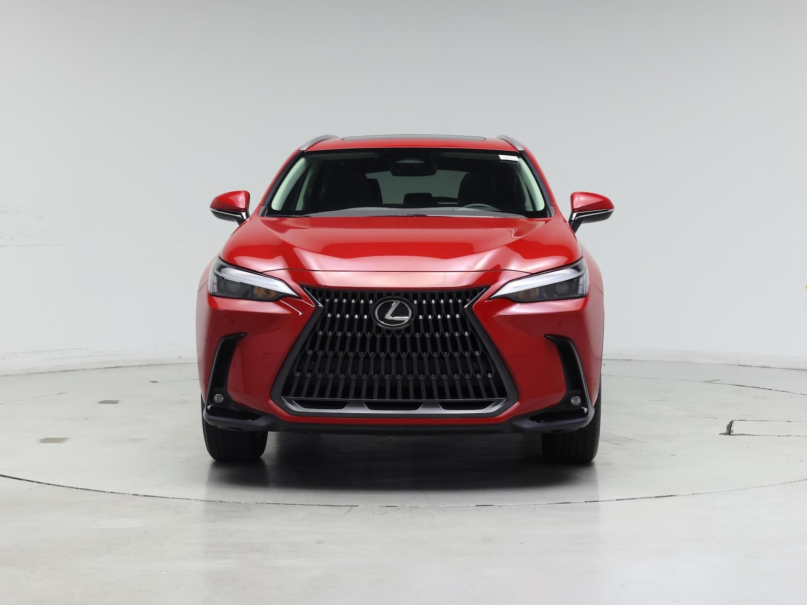 2023 Lexus NX 250 - Photo 6