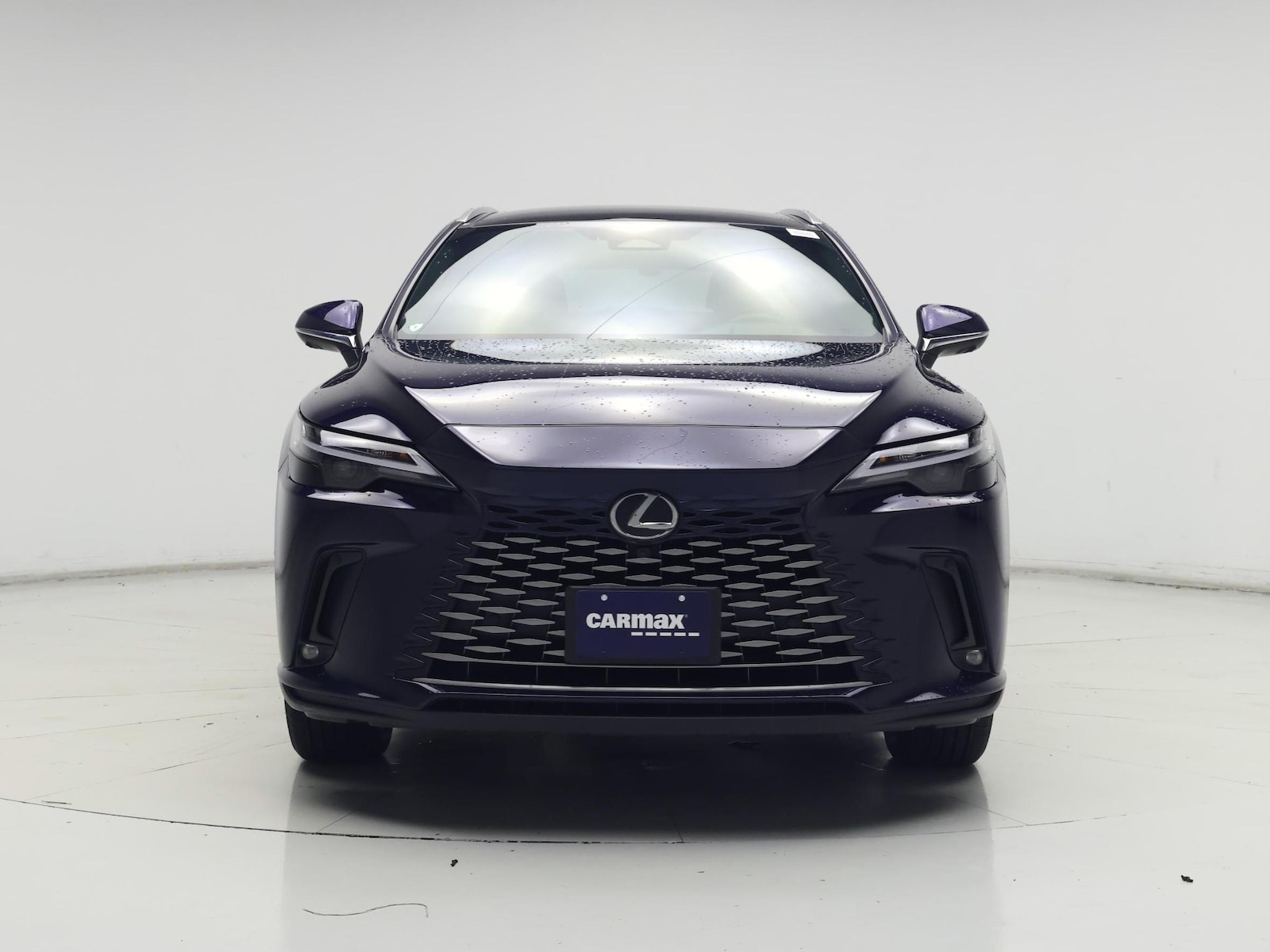 2023 Lexus RX 350 - Photo 6