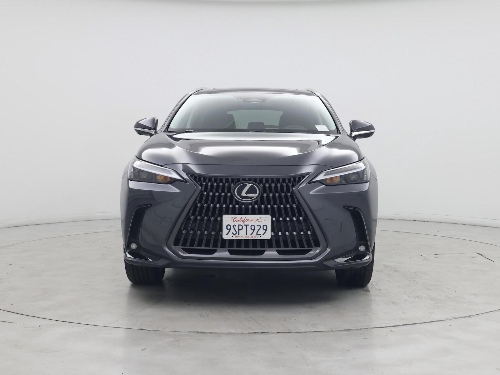 2025 Lexus NX 350 - Photo 6