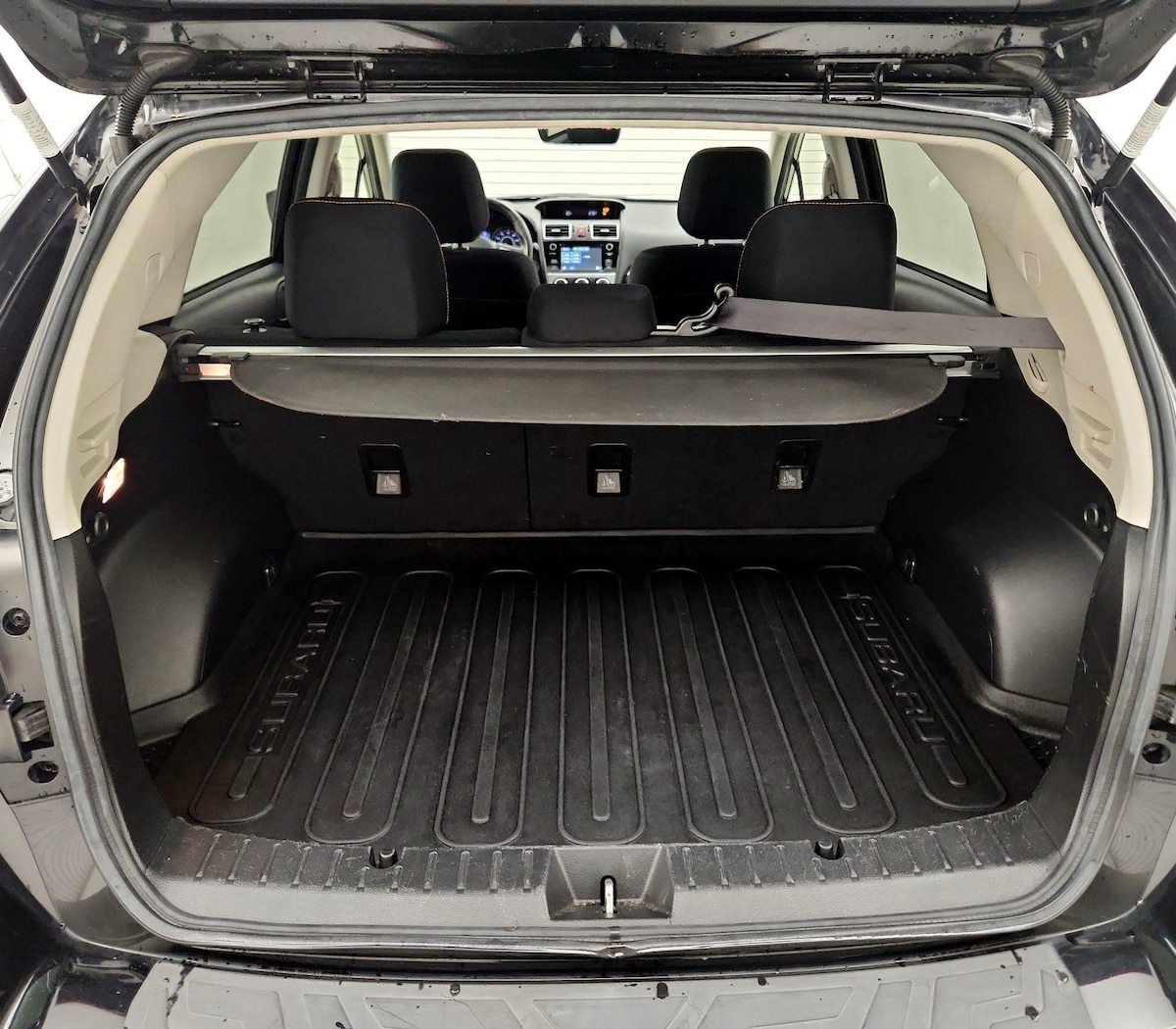 Trunk/Cargo (Seats Up)