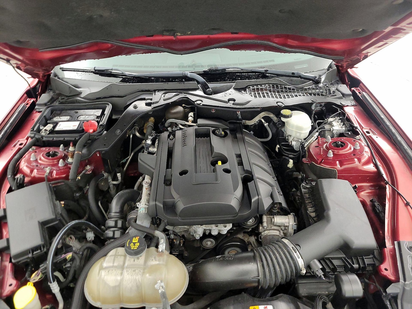 2016 Ford Mustang EcoBoost - Photo 19