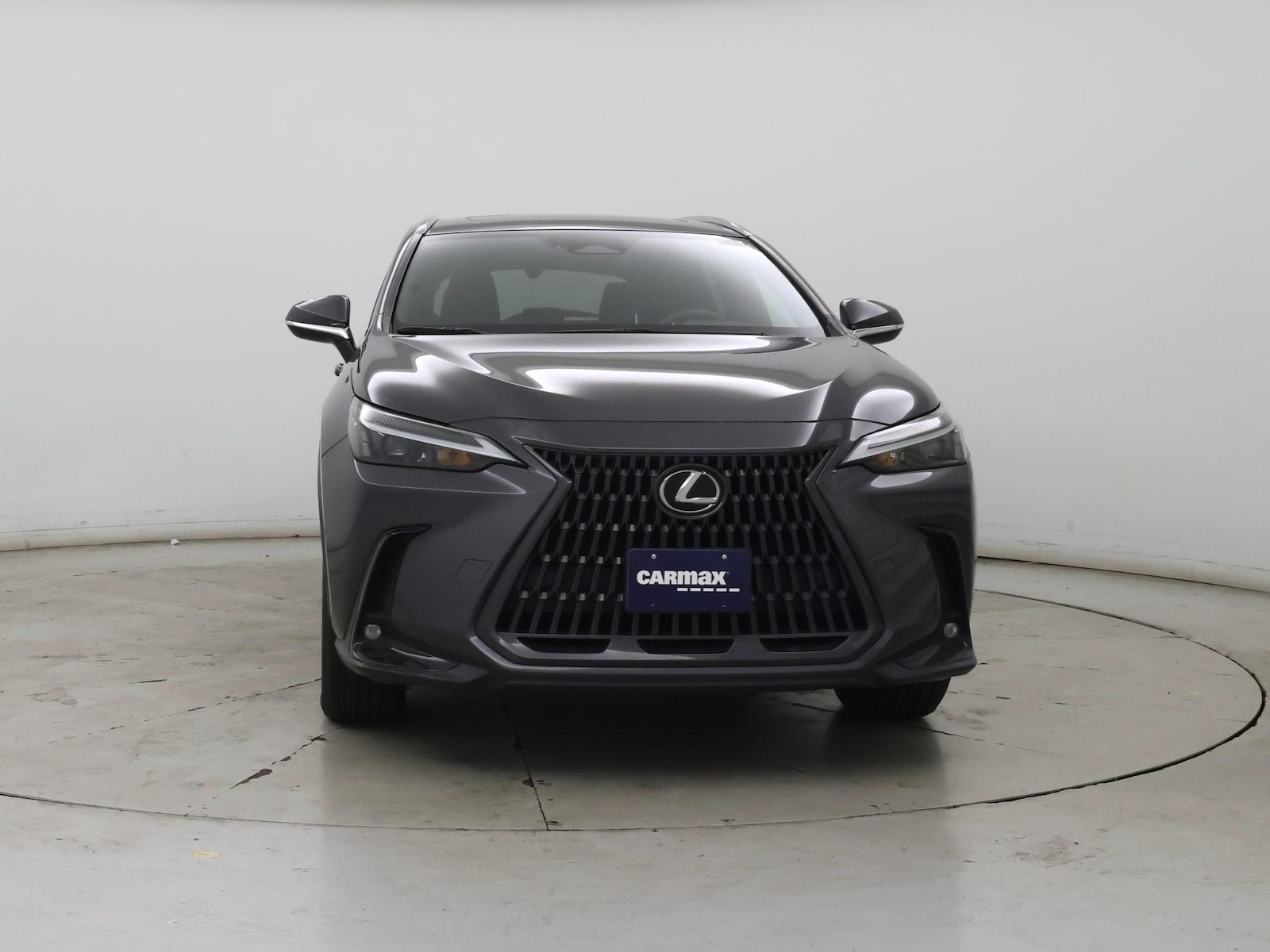 2023 Lexus NX 350 - Photo 6
