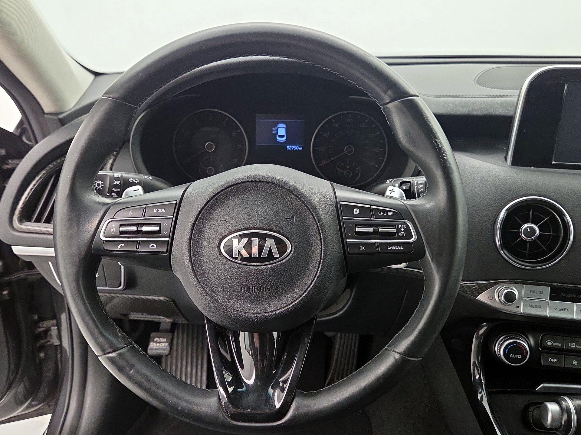 Thumbnail: 2019 Kia Stinger - 10