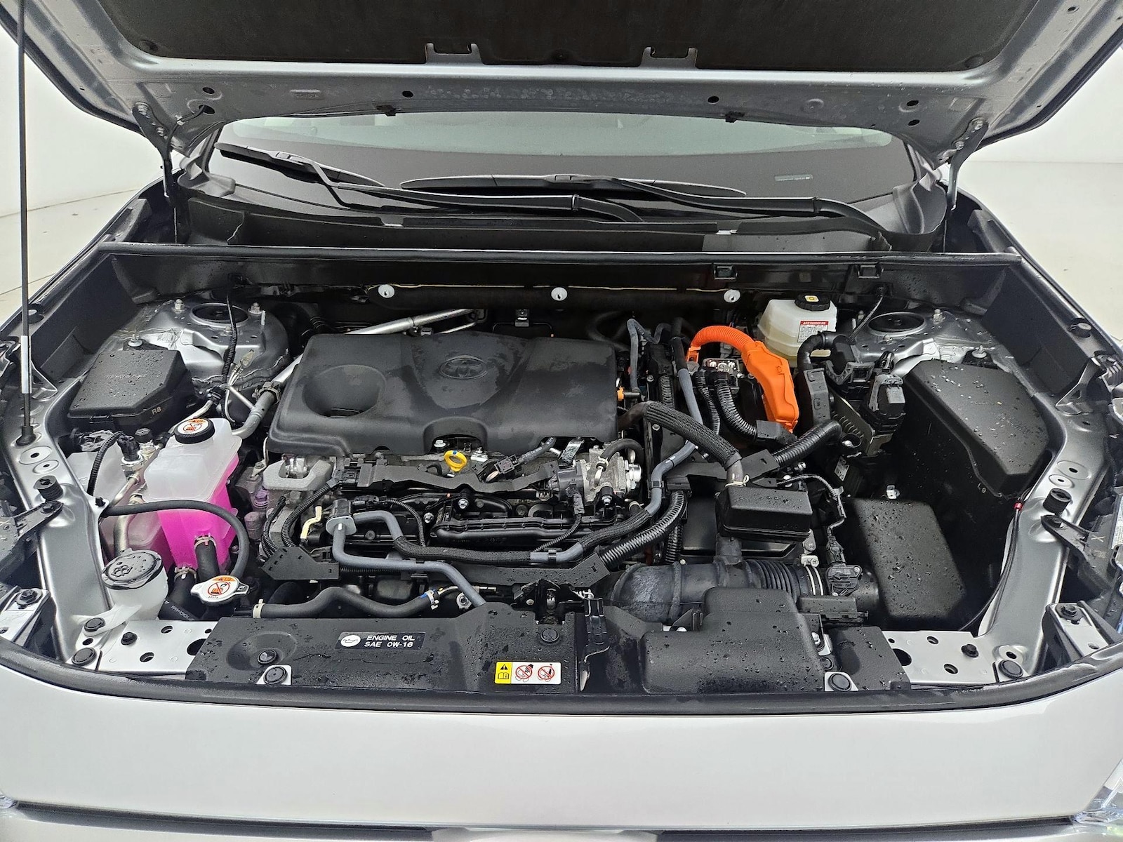 2025 Toyota RAV4 XLE - Photo 24