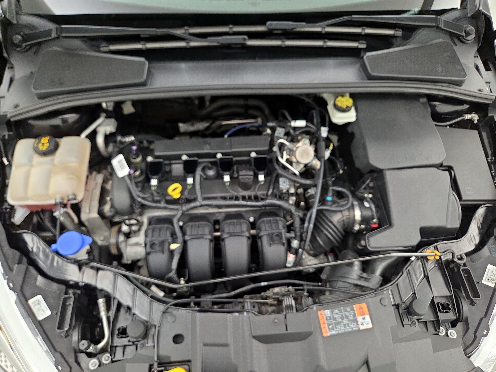 2017 Ford Focus SE - Photo 22