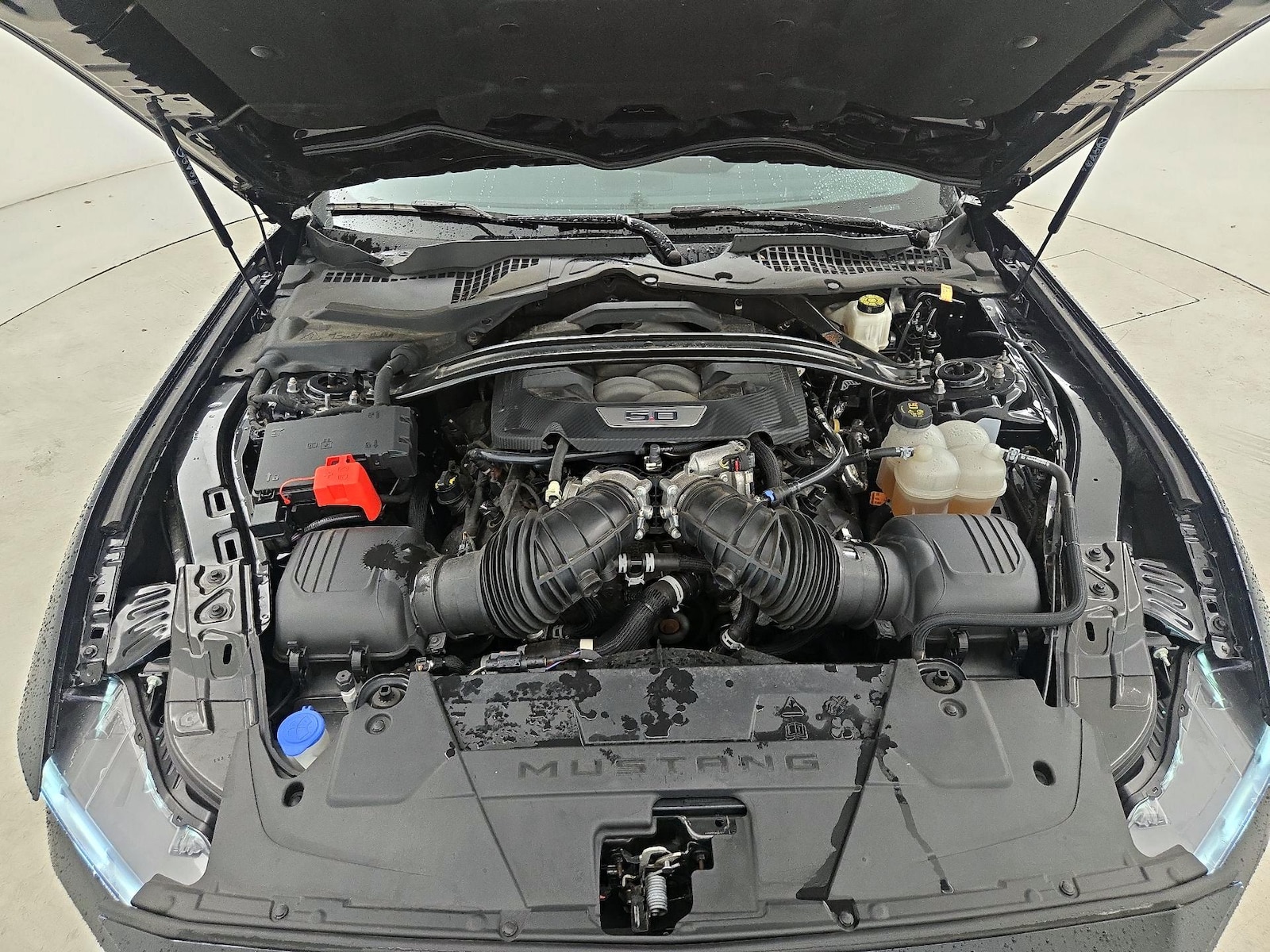 2024 Ford Mustang GT Premium - Photo 22