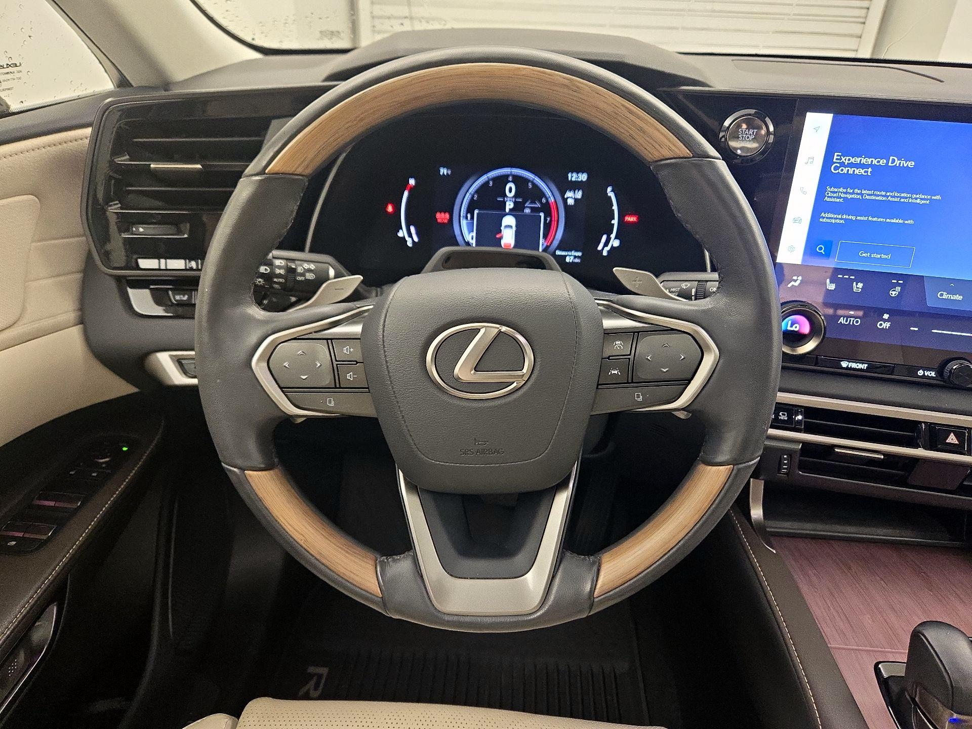 Thumbnail: 2023 Lexus RX - 10