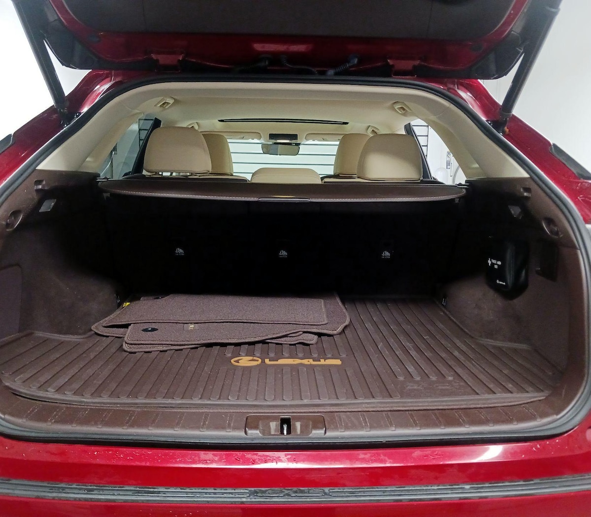 Trunk/Cargo (Seats Up)