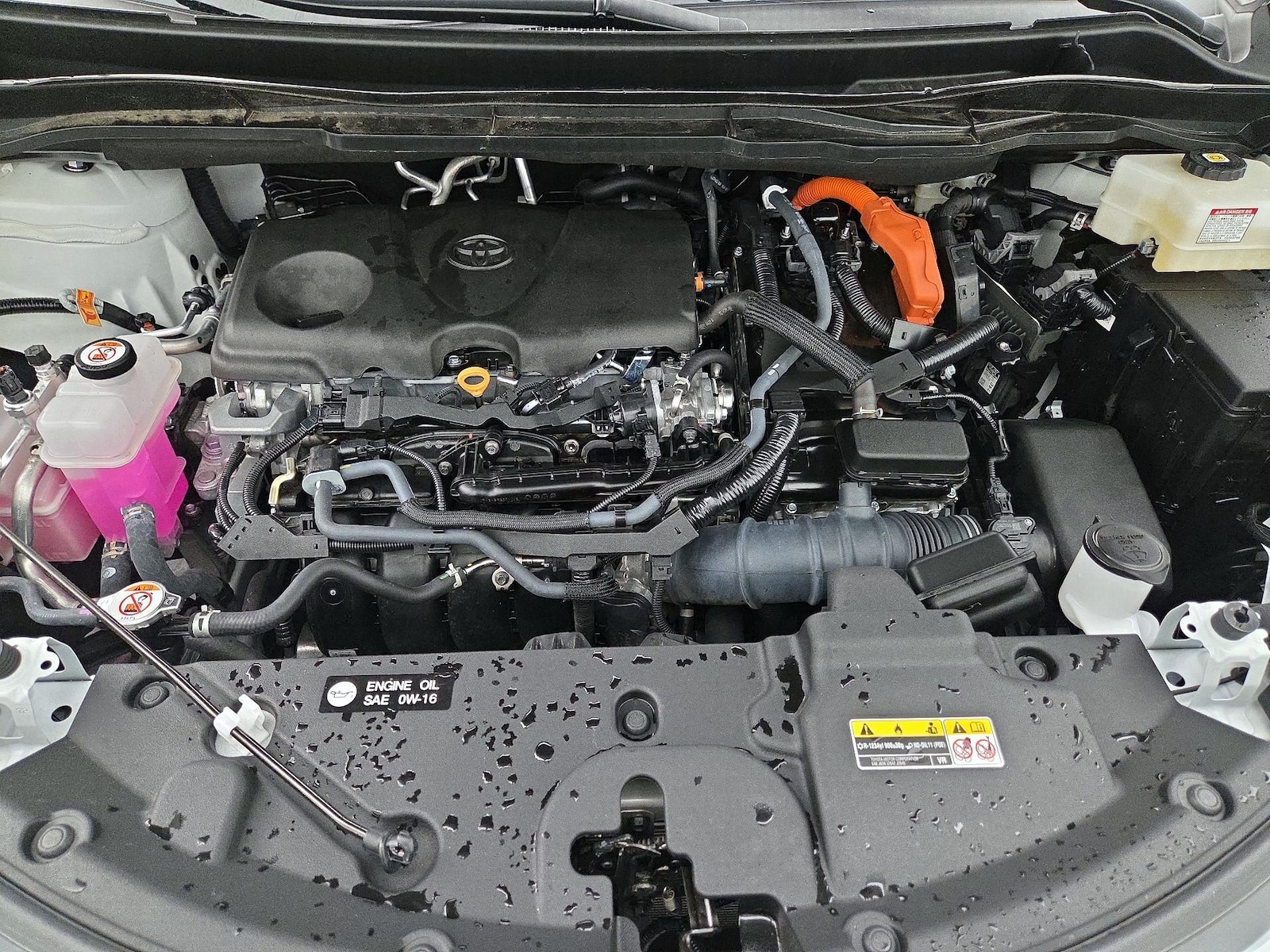 2025 Toyota Sienna LE - Photo 23
