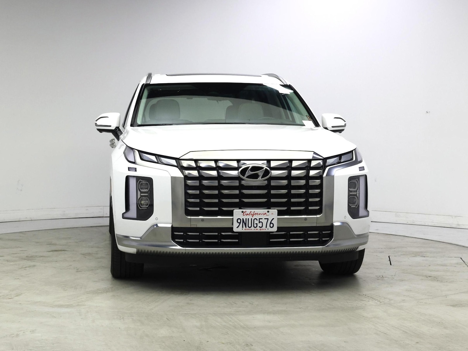 2025 Hyundai Palisade Calligraphy - Photo 6