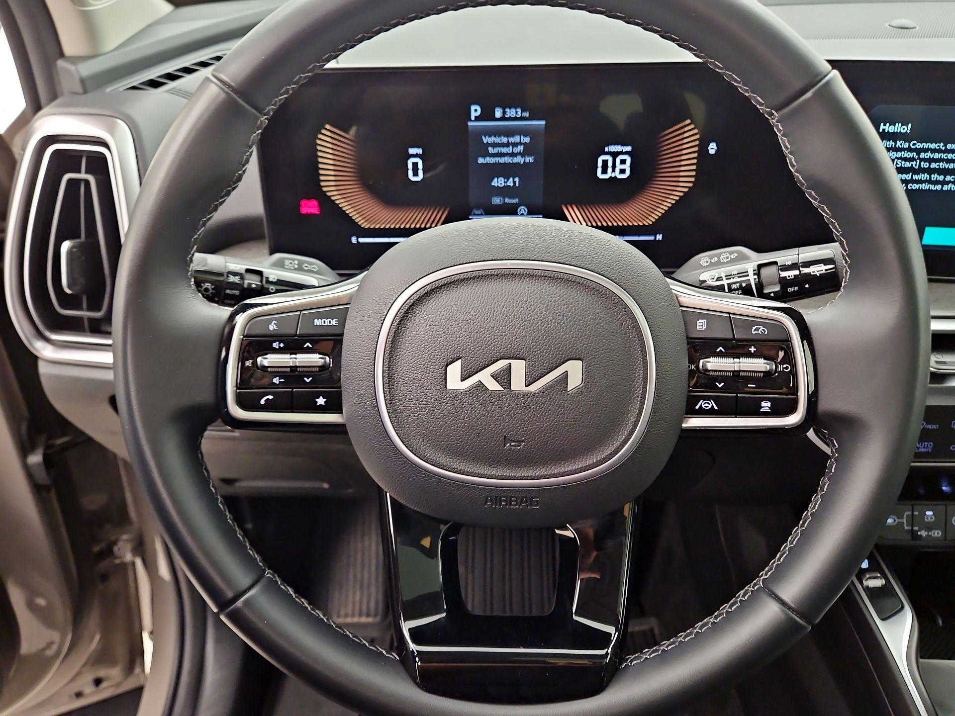 Thumbnail: 2025 Kia Sorento - 10