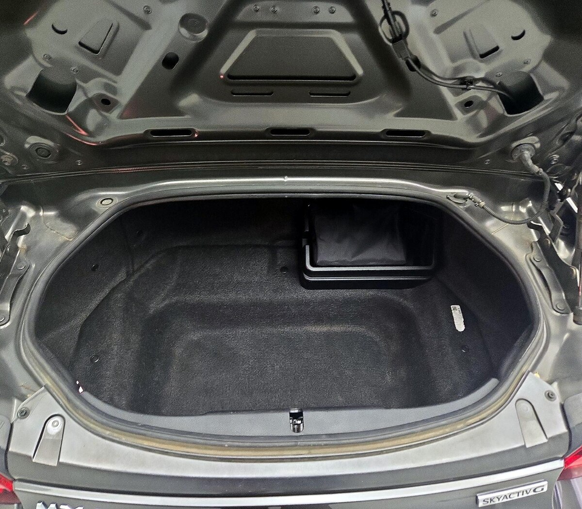Trunk/Cargo (Seats Up)