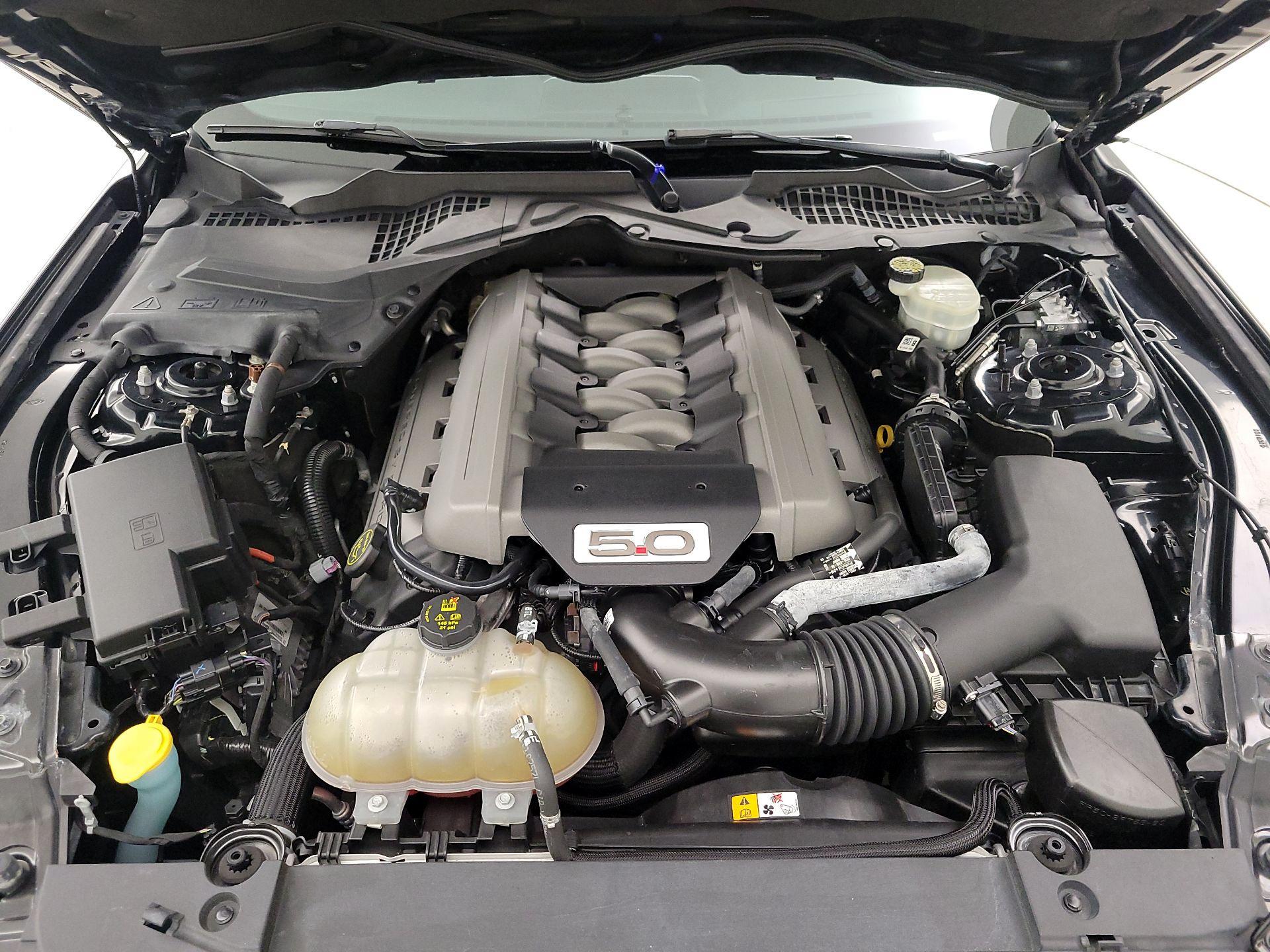 Thumbnail: 2016 Ford Mustang - 20