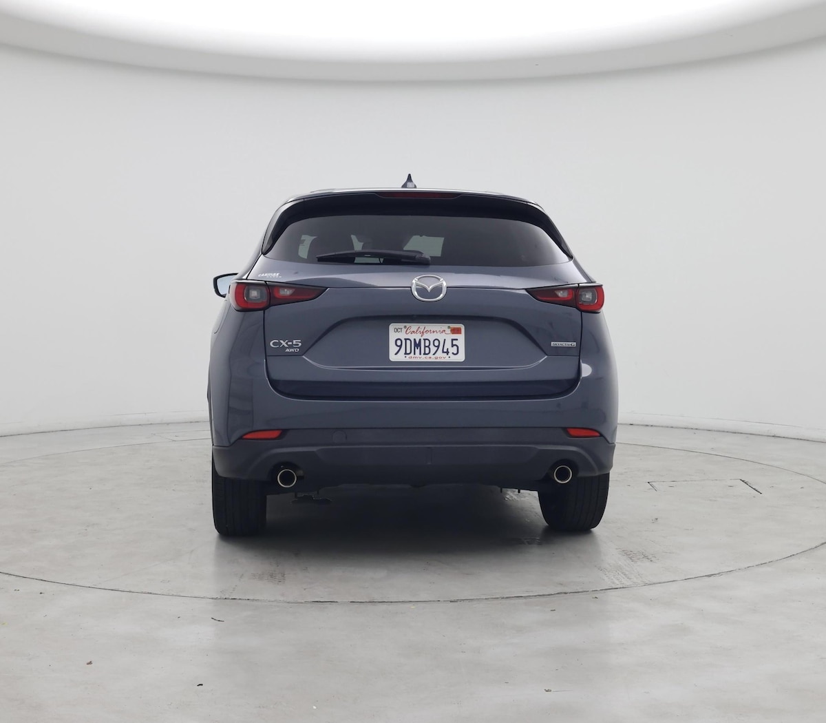Rear