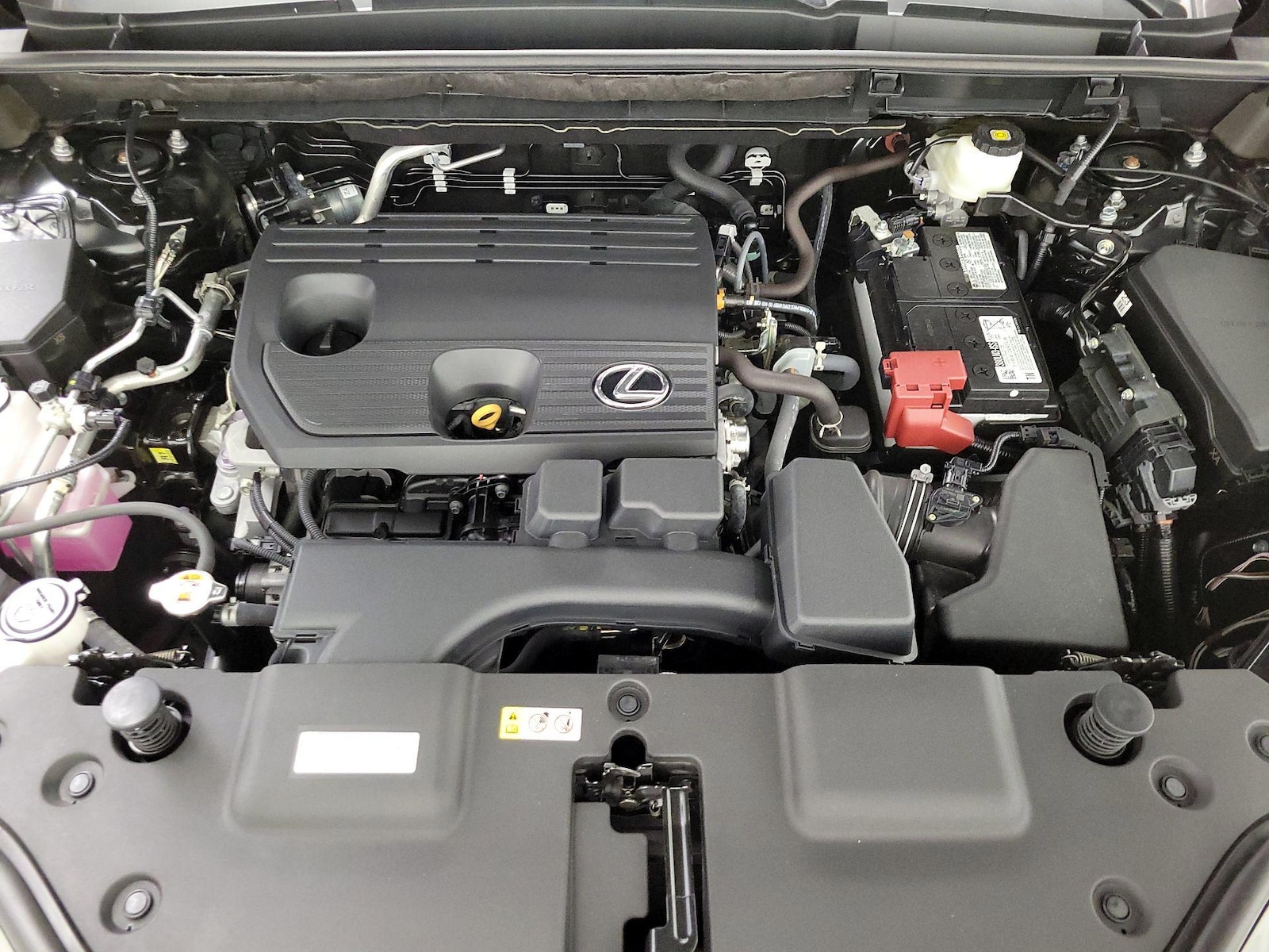 2025 Lexus NX 250 - Photo 23
