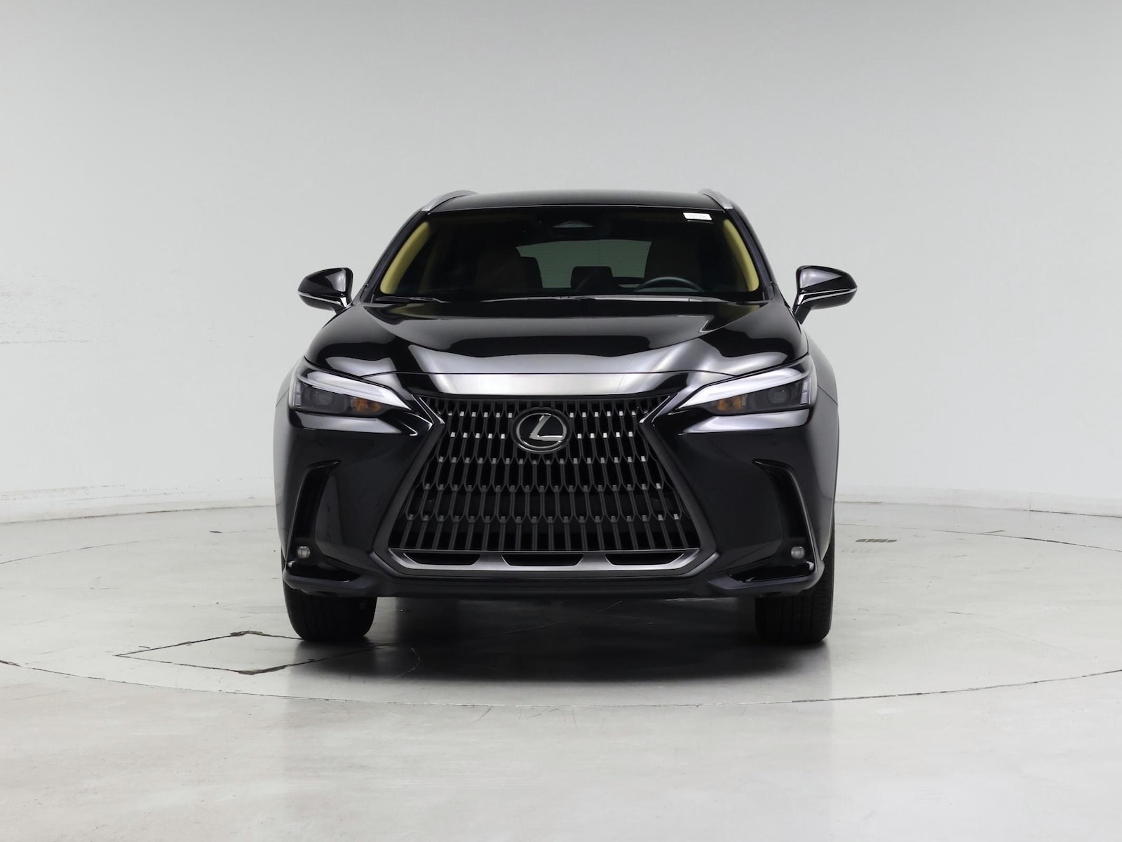 2025 Lexus NX 250 - Photo 6