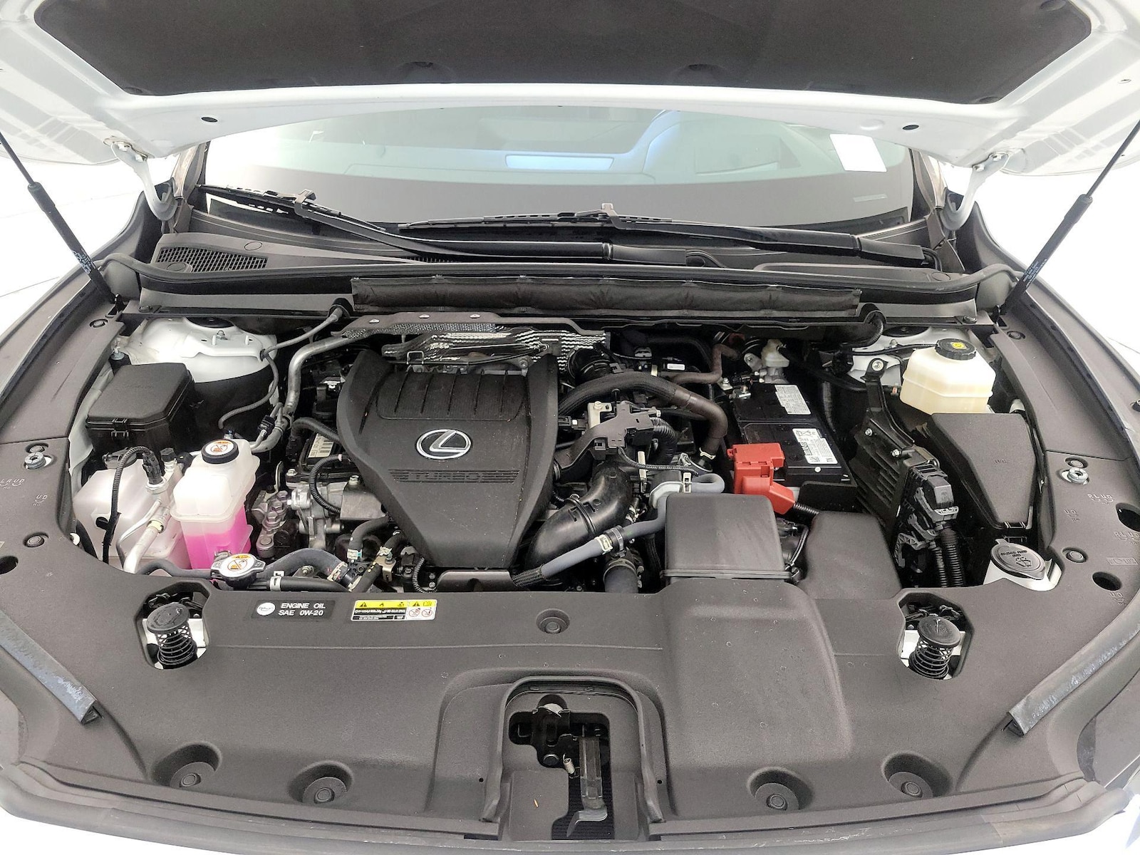 2024 Lexus RX 350 - Photo 23
