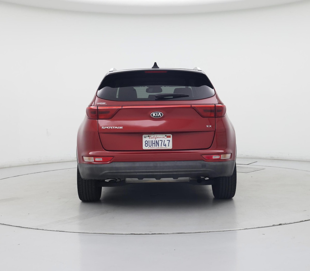 Rear