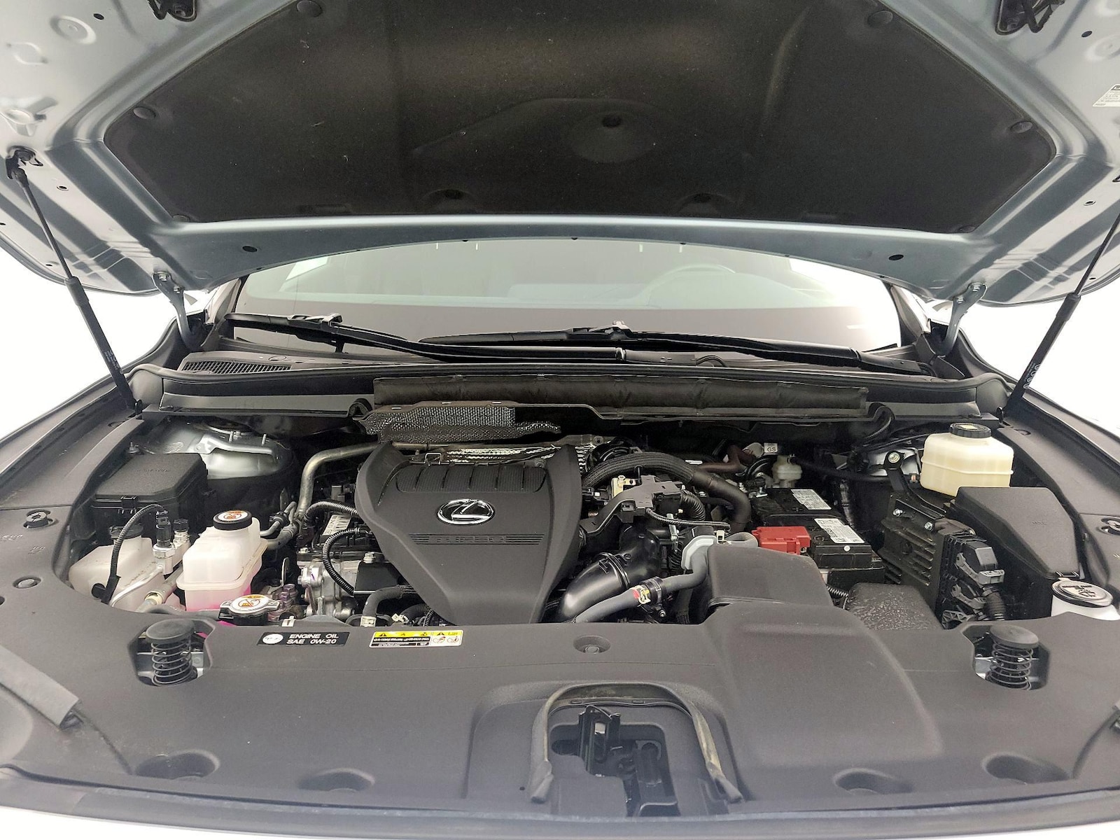 2025 Lexus RX 350 - Photo 22