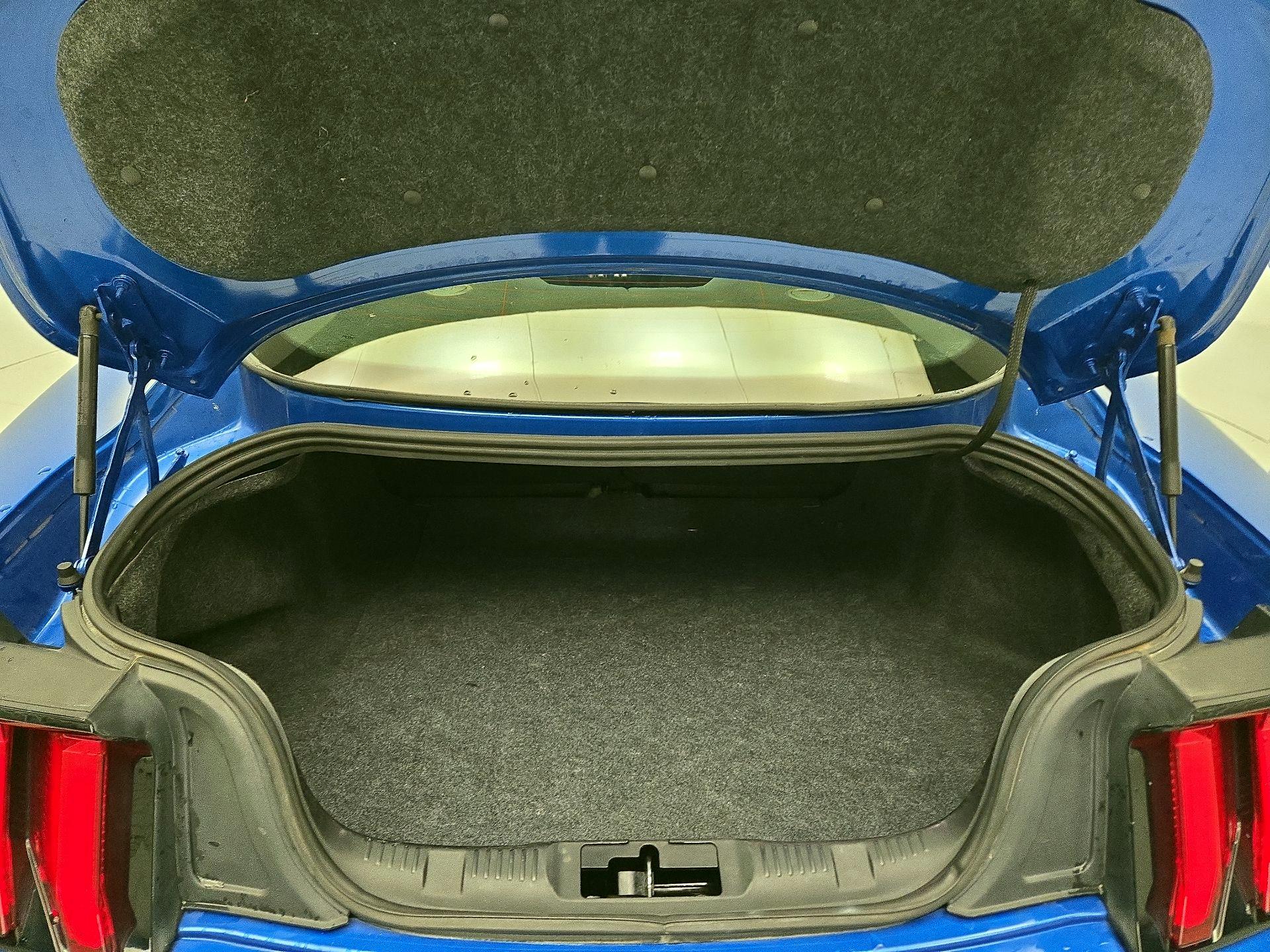 Thumbnail: 2019 Ford Mustang - 20