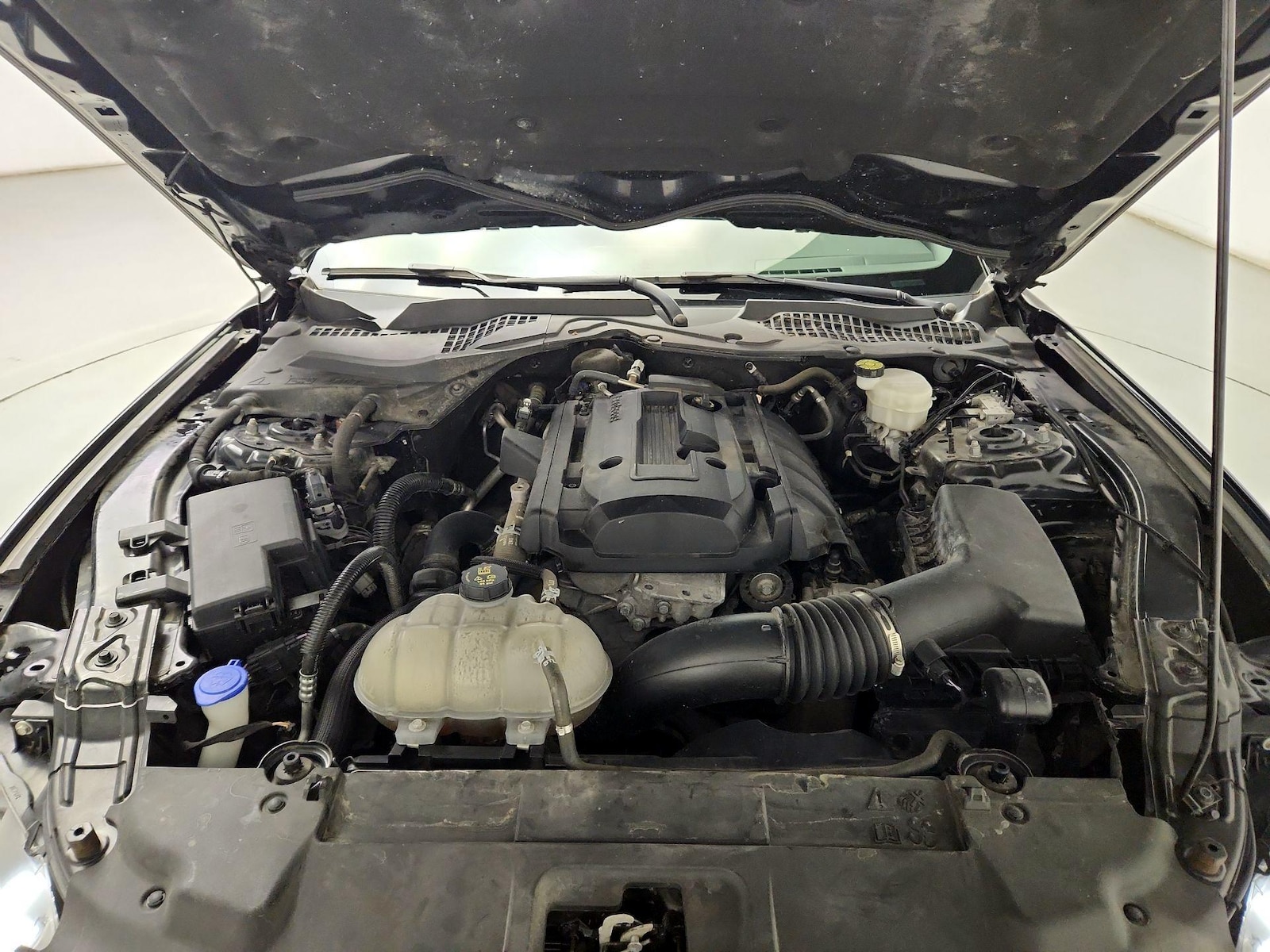2020 Ford Mustang EcoBoost - Photo 22