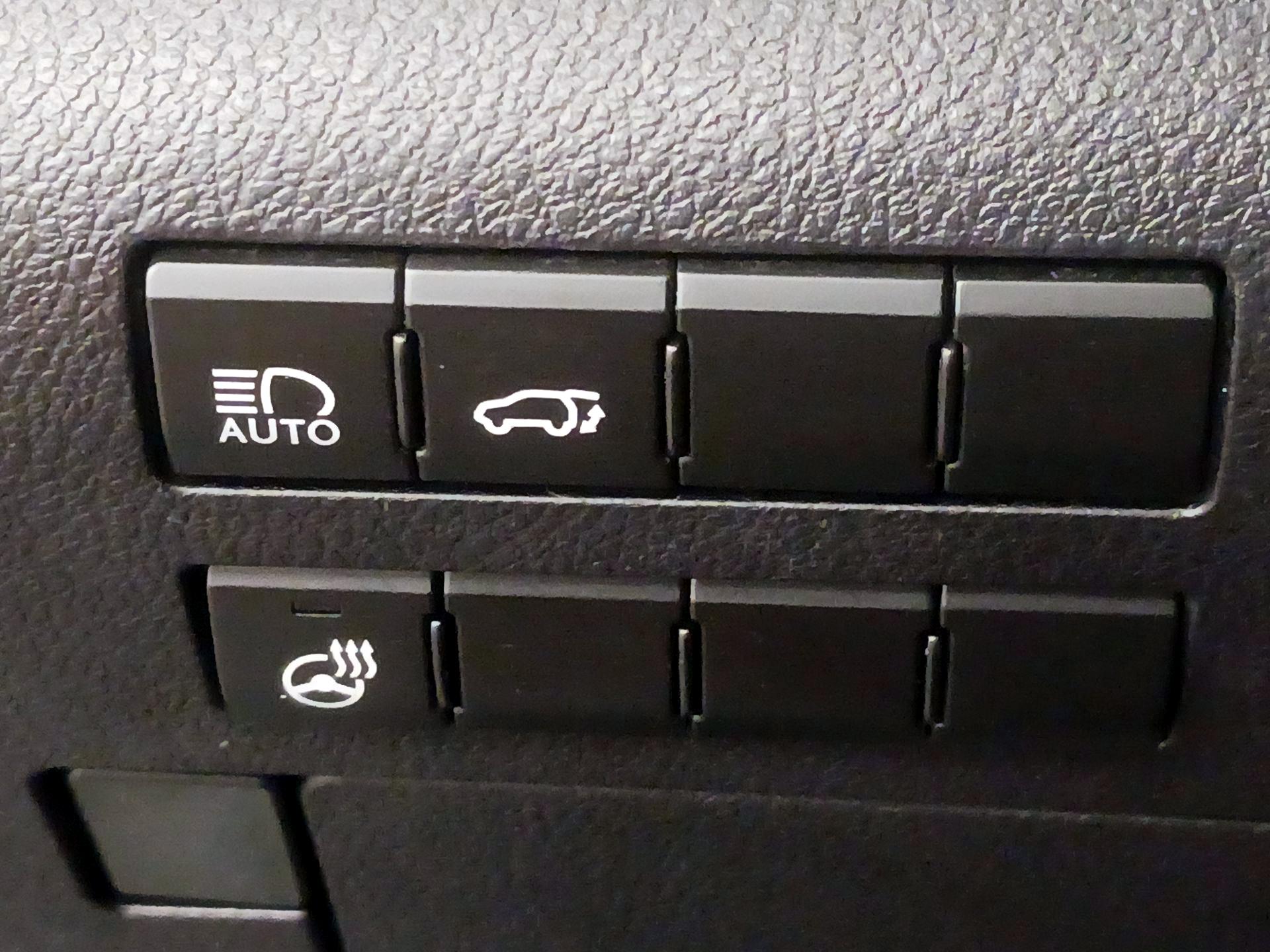 Thumbnail: 2019 Lexus RX - 13