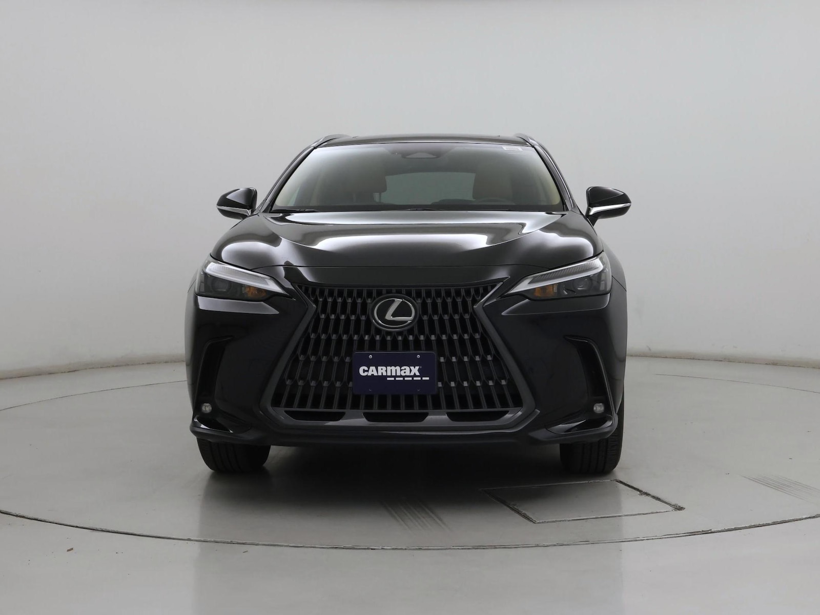 2025 Lexus NX 250 - Photo 6