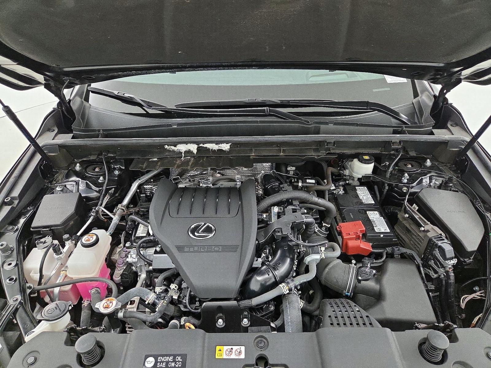2024 Lexus NX 350 - Photo 24
