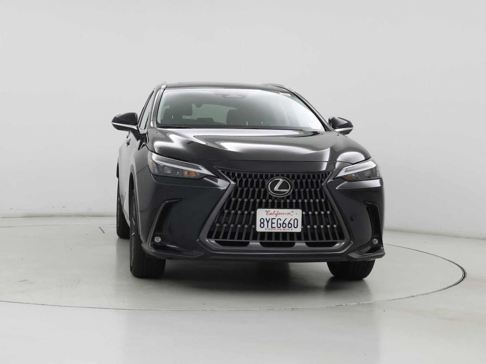 2024 Lexus NX 350 - Photo 6