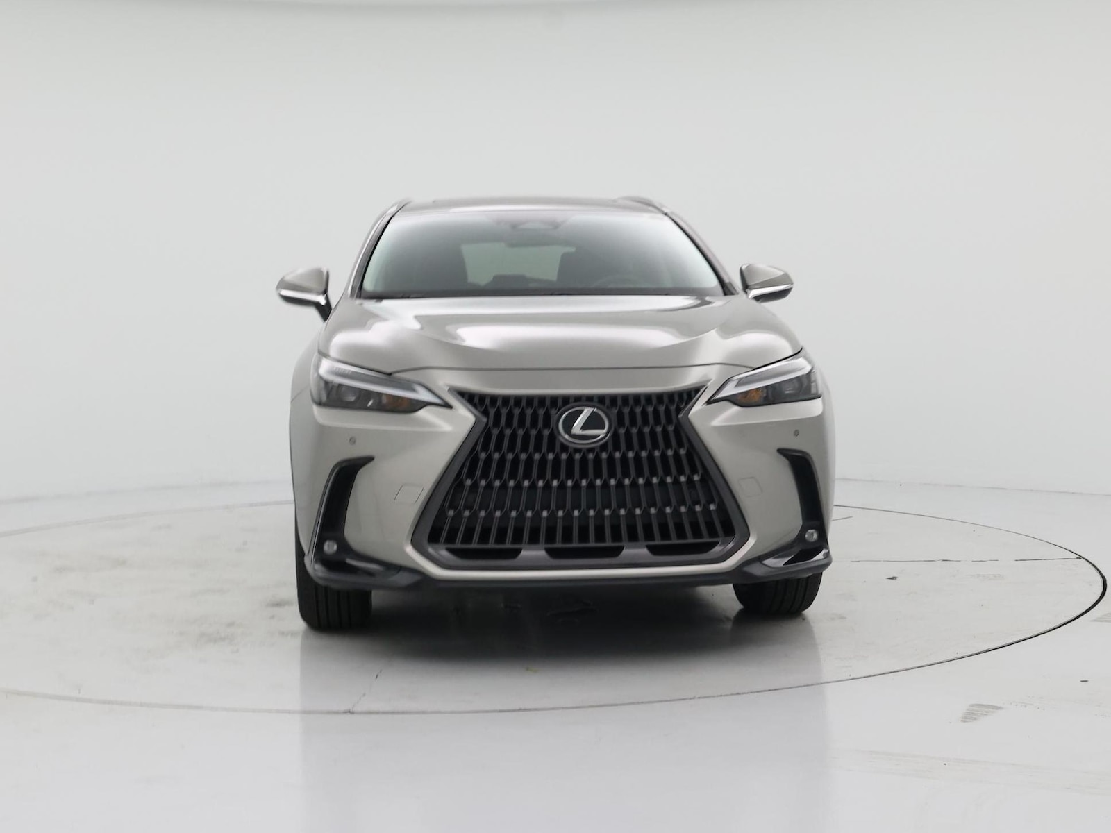 2023 Lexus NX 350 - Photo 6