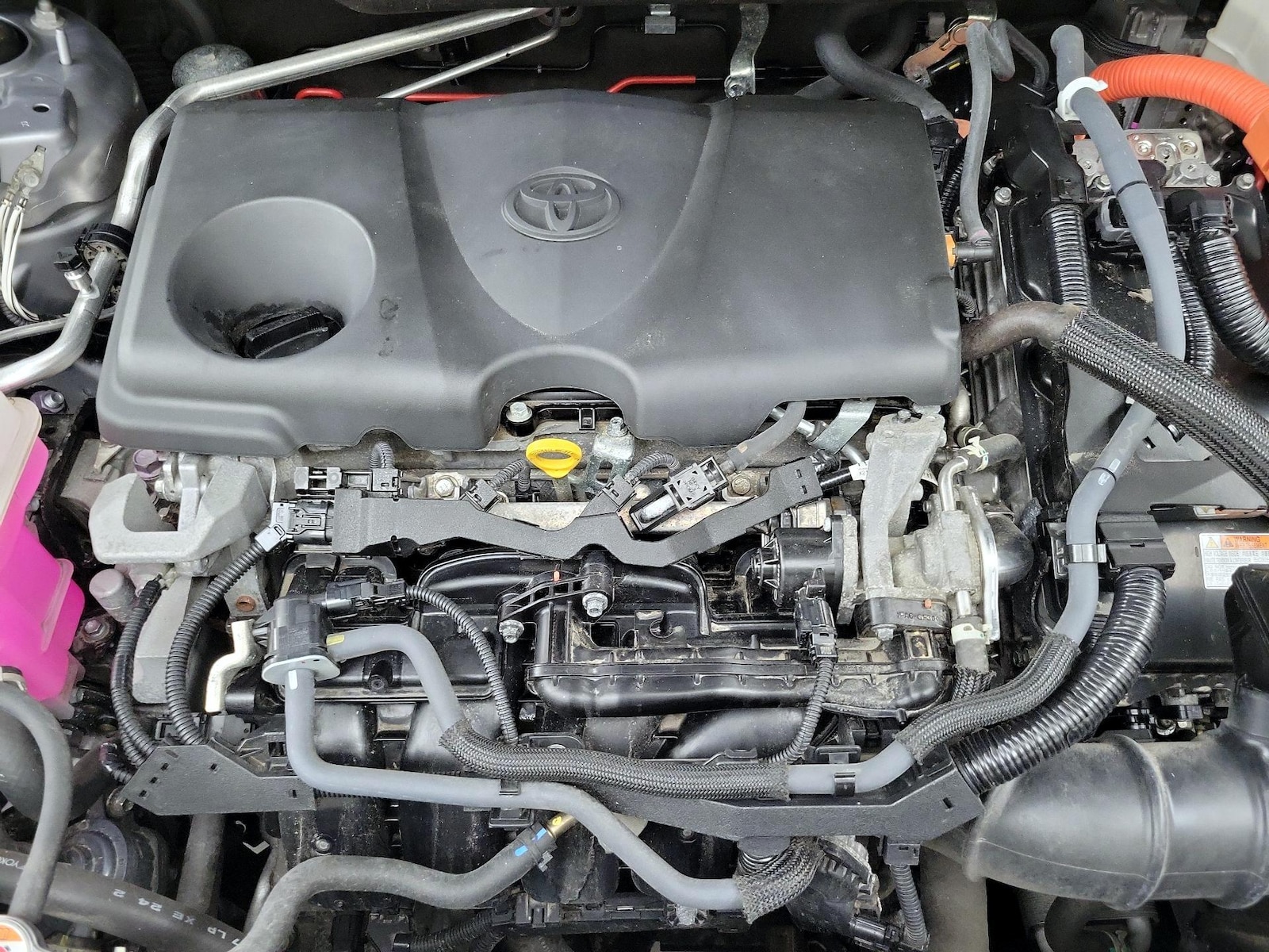2021 Toyota RAV4 XLE Premium - Photo 24