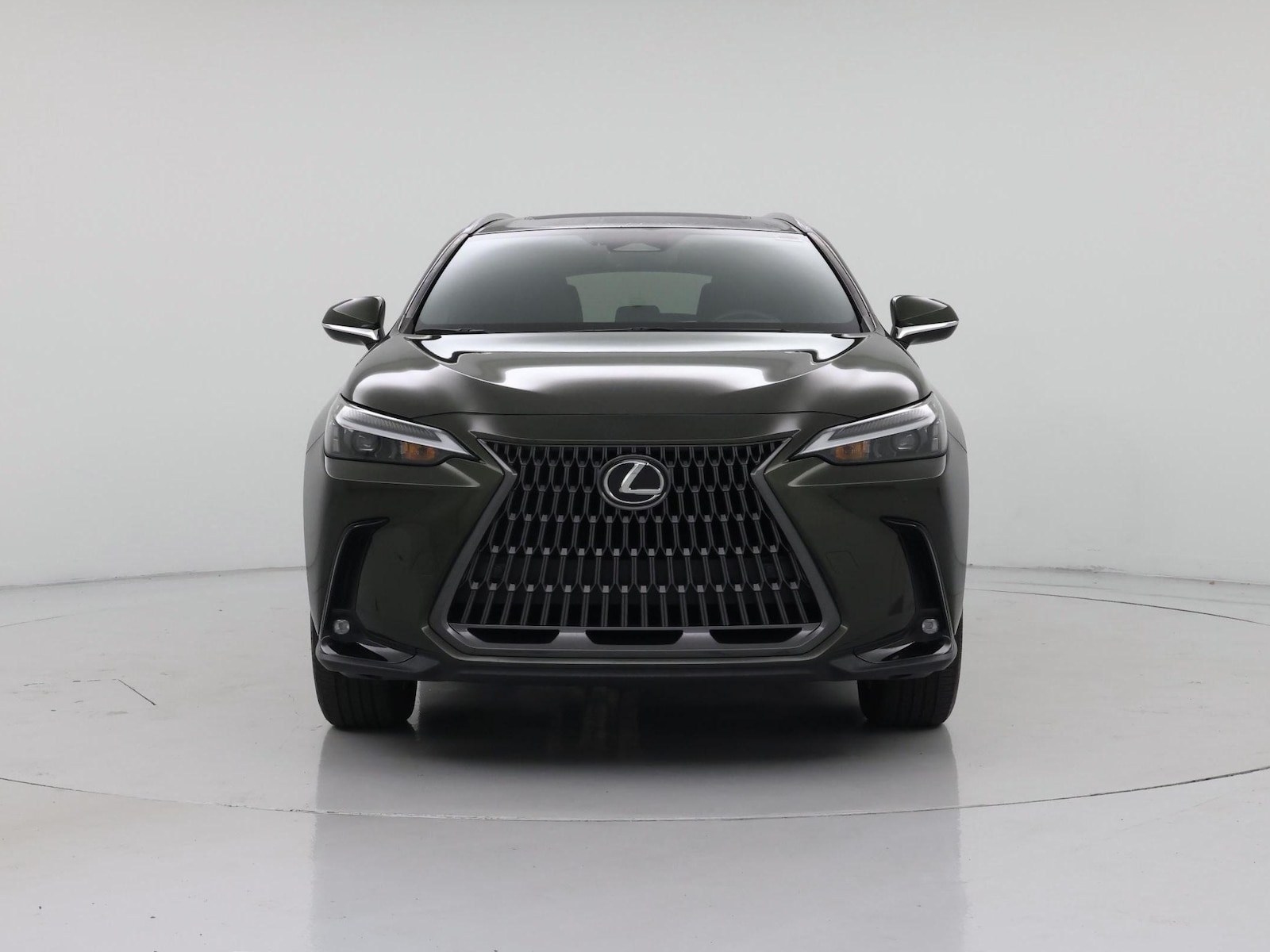 2024 Lexus NX 250 - Photo 6