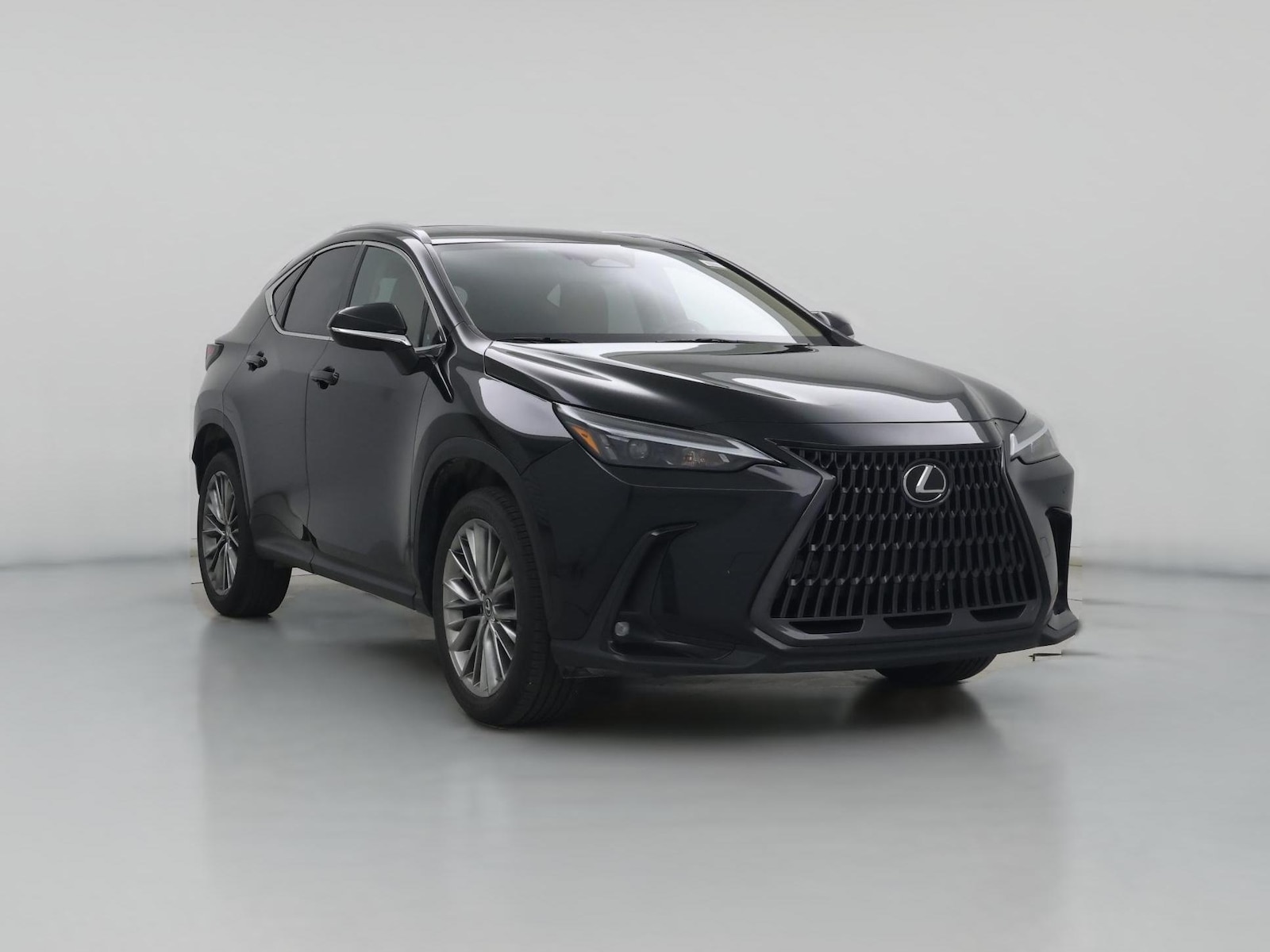 2023 Lexus NX